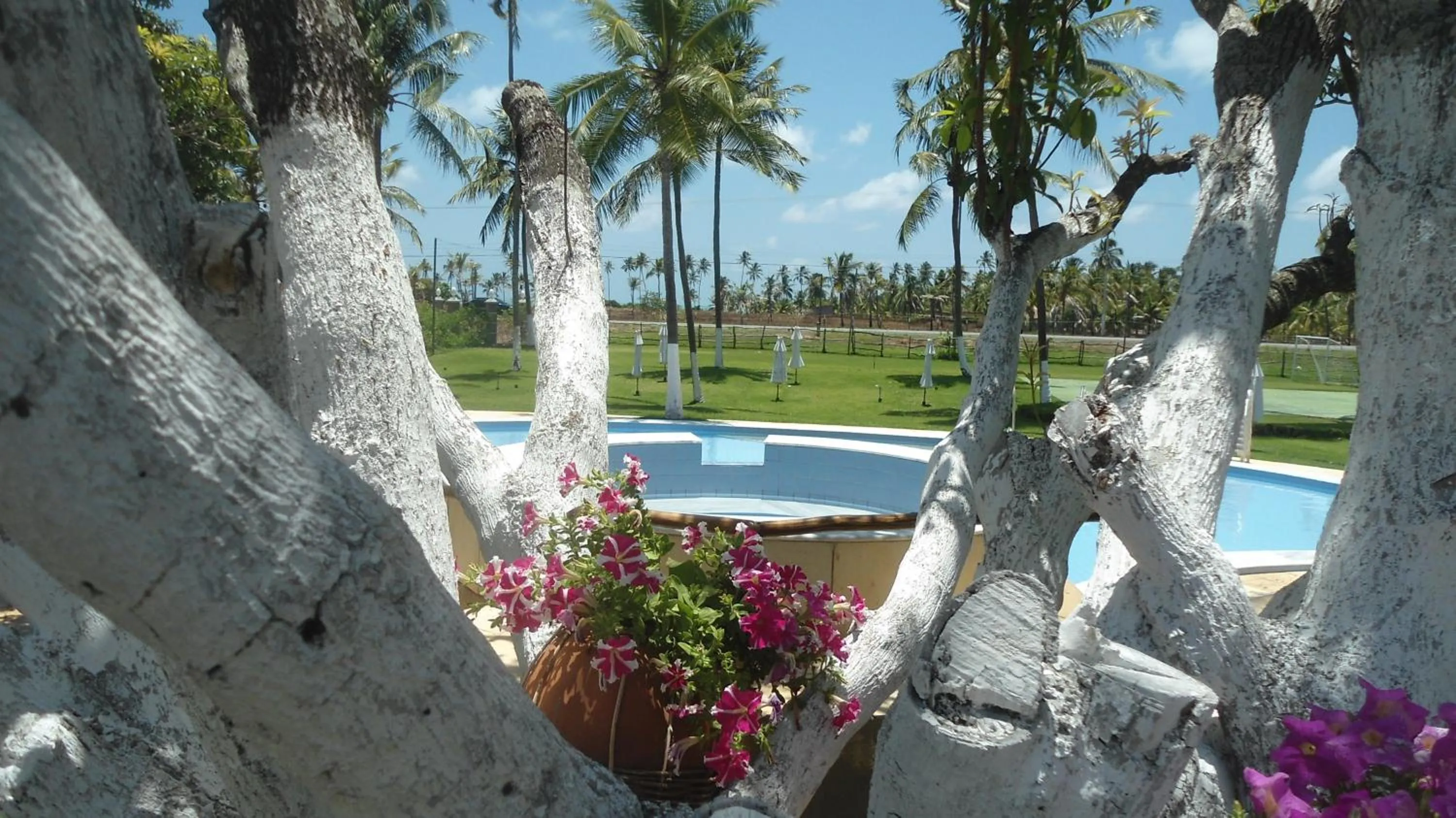 Pool view in Fazenda Fiore Resort