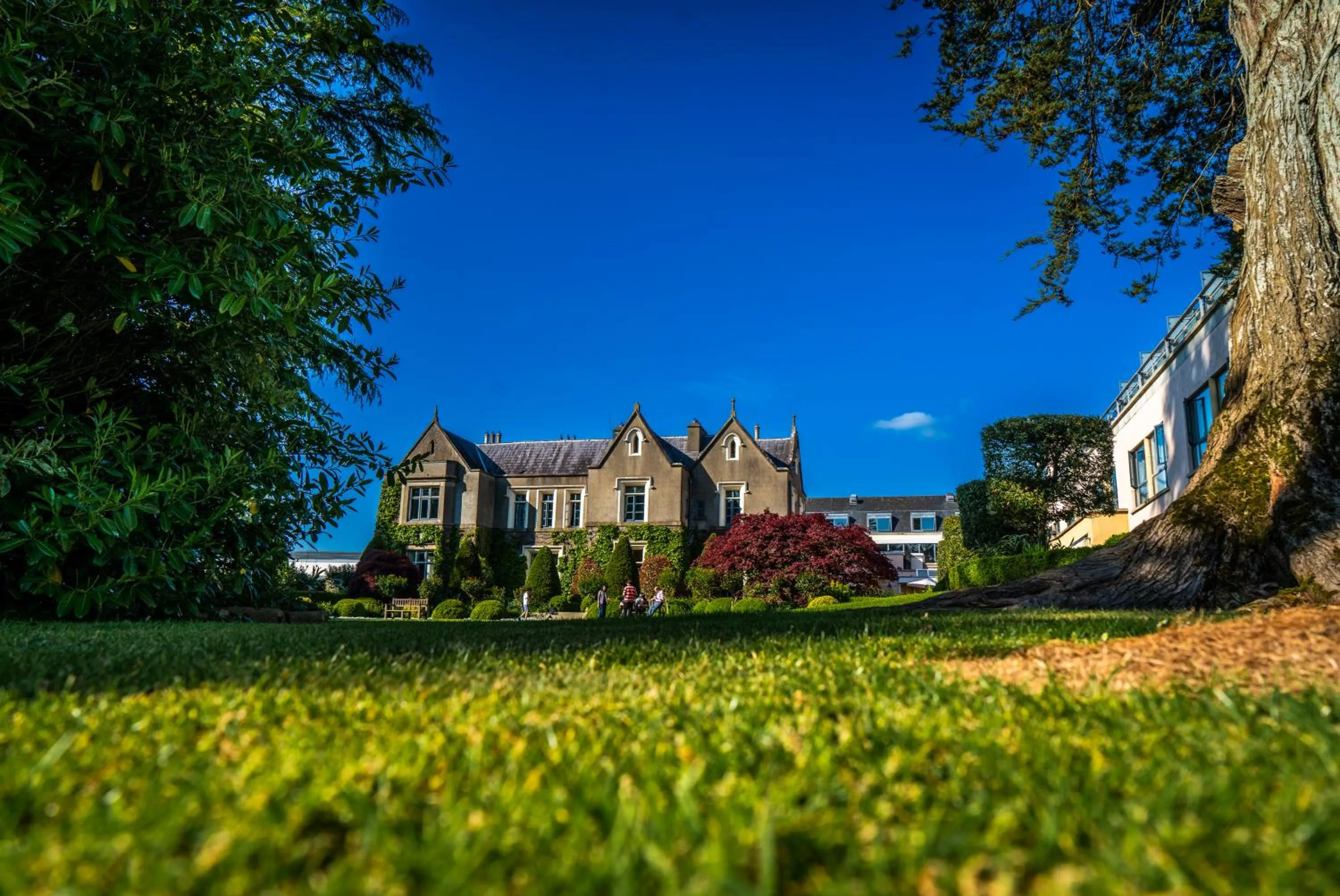 Garden in Ballymascanlon Hotel and Golf Resort