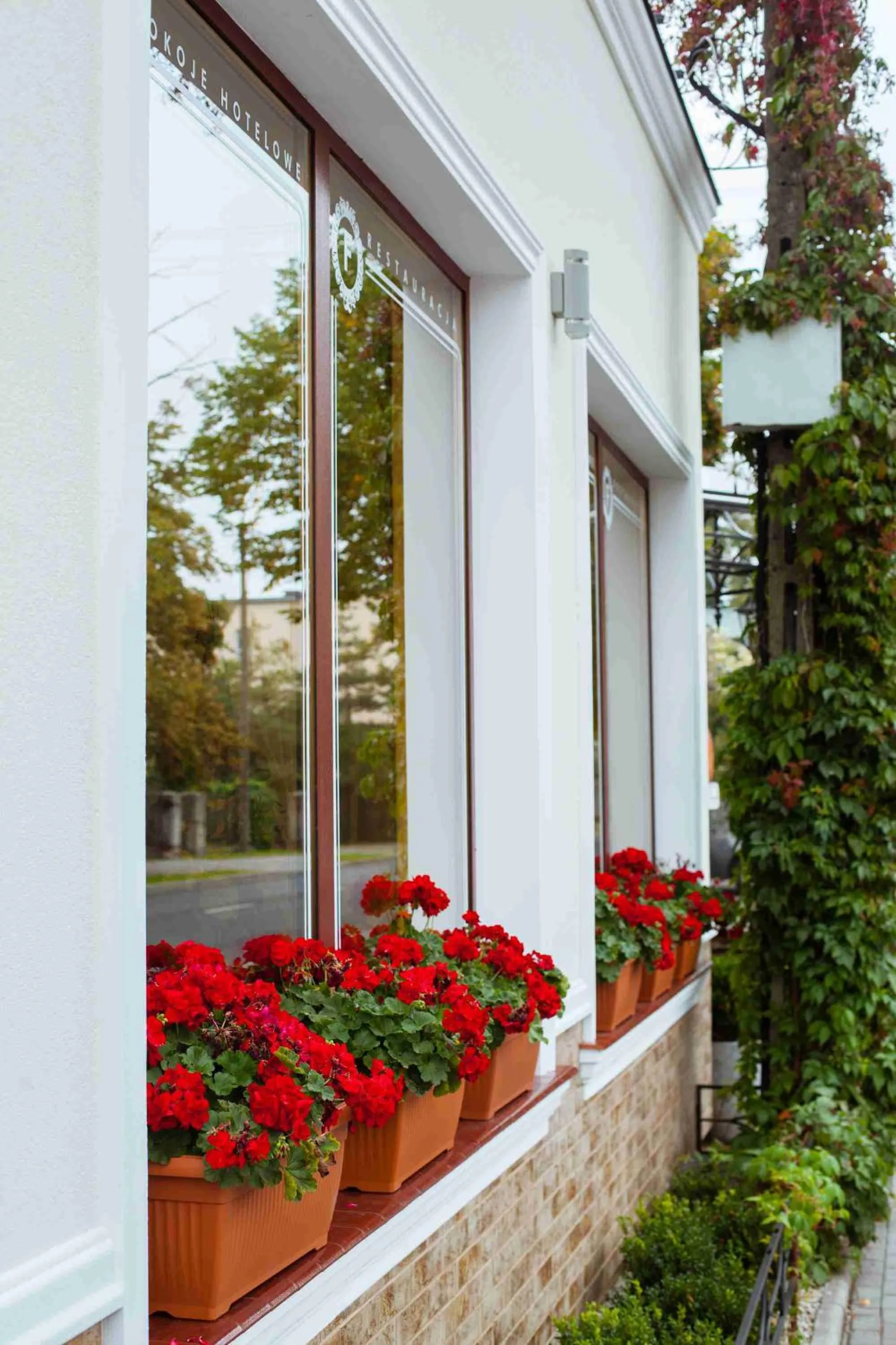 Facade/entrance in Pokoje De Luxe Figaro