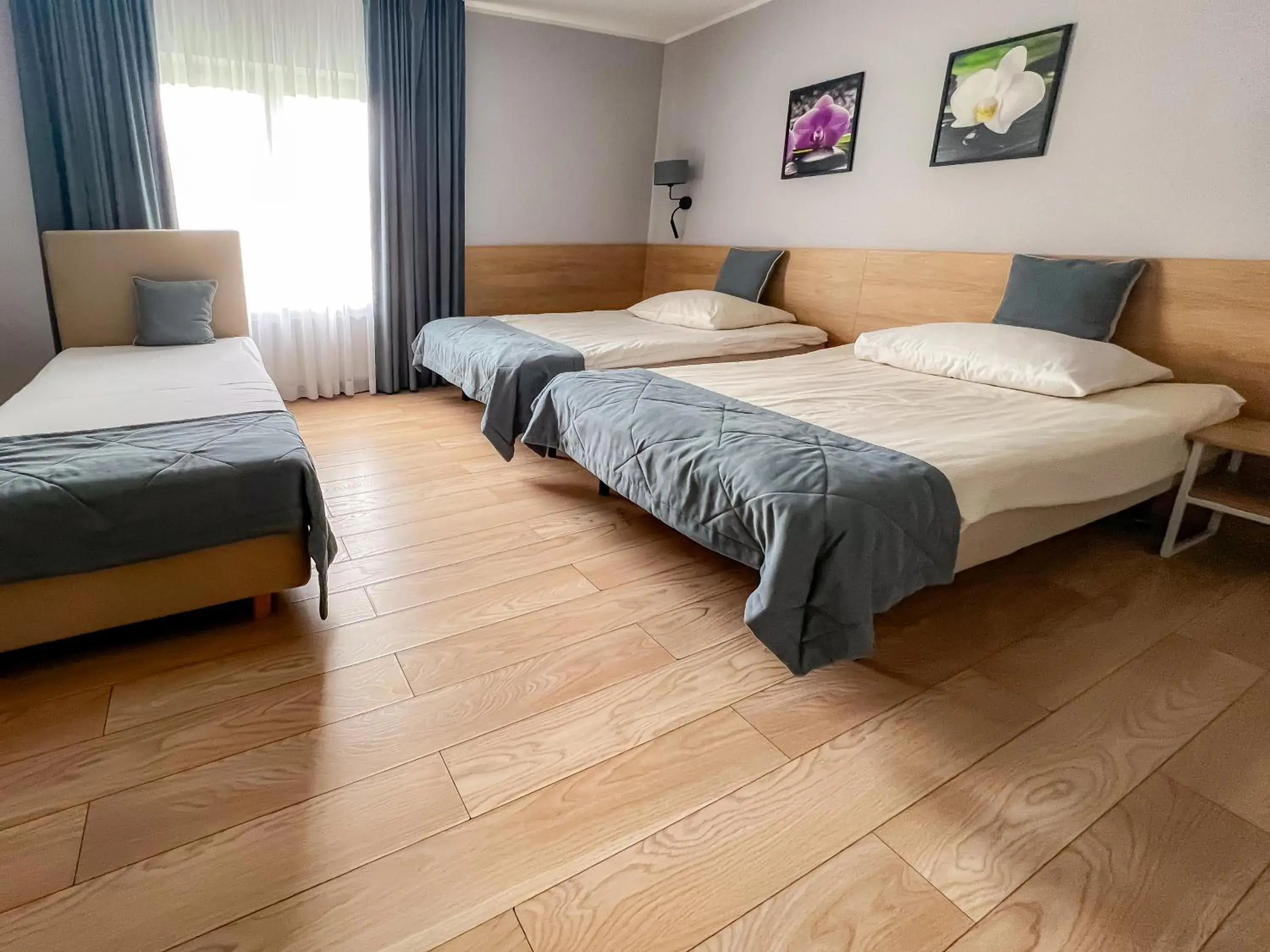 Triple Room - single occupancy in Pokoje De Luxe Figaro Triple Room - single occupancy in Pokoje De Luxe Figaro