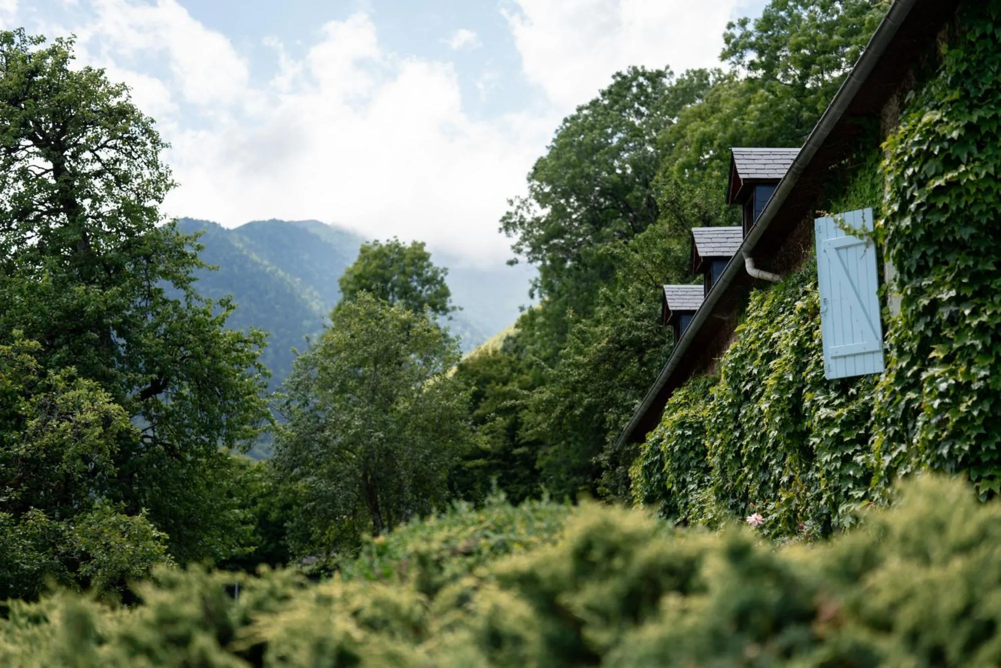 Property building in Garden & City Bagnères-de-Bigorre - Domaine de Ramonjuan