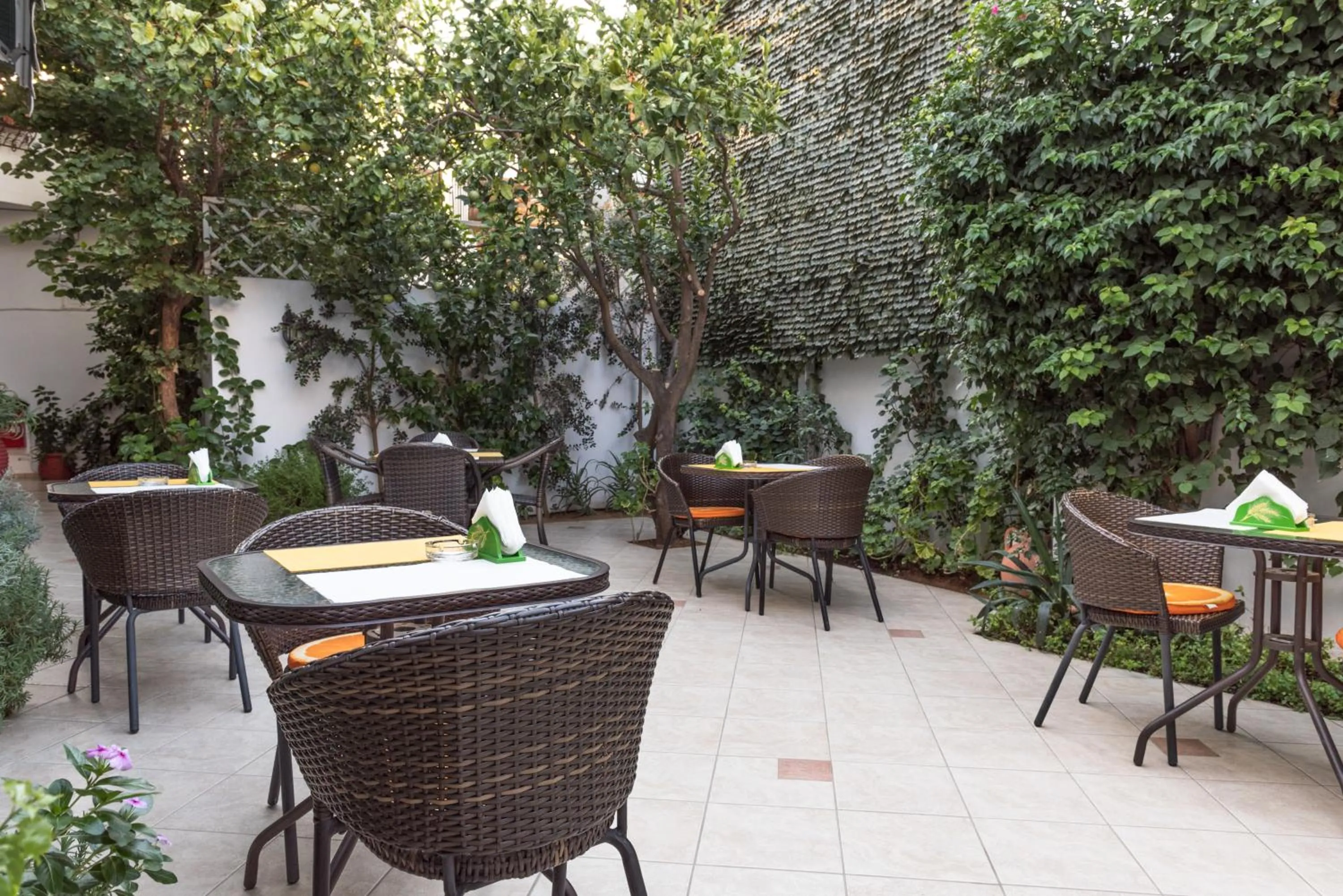 Garden view in Manto Studios
