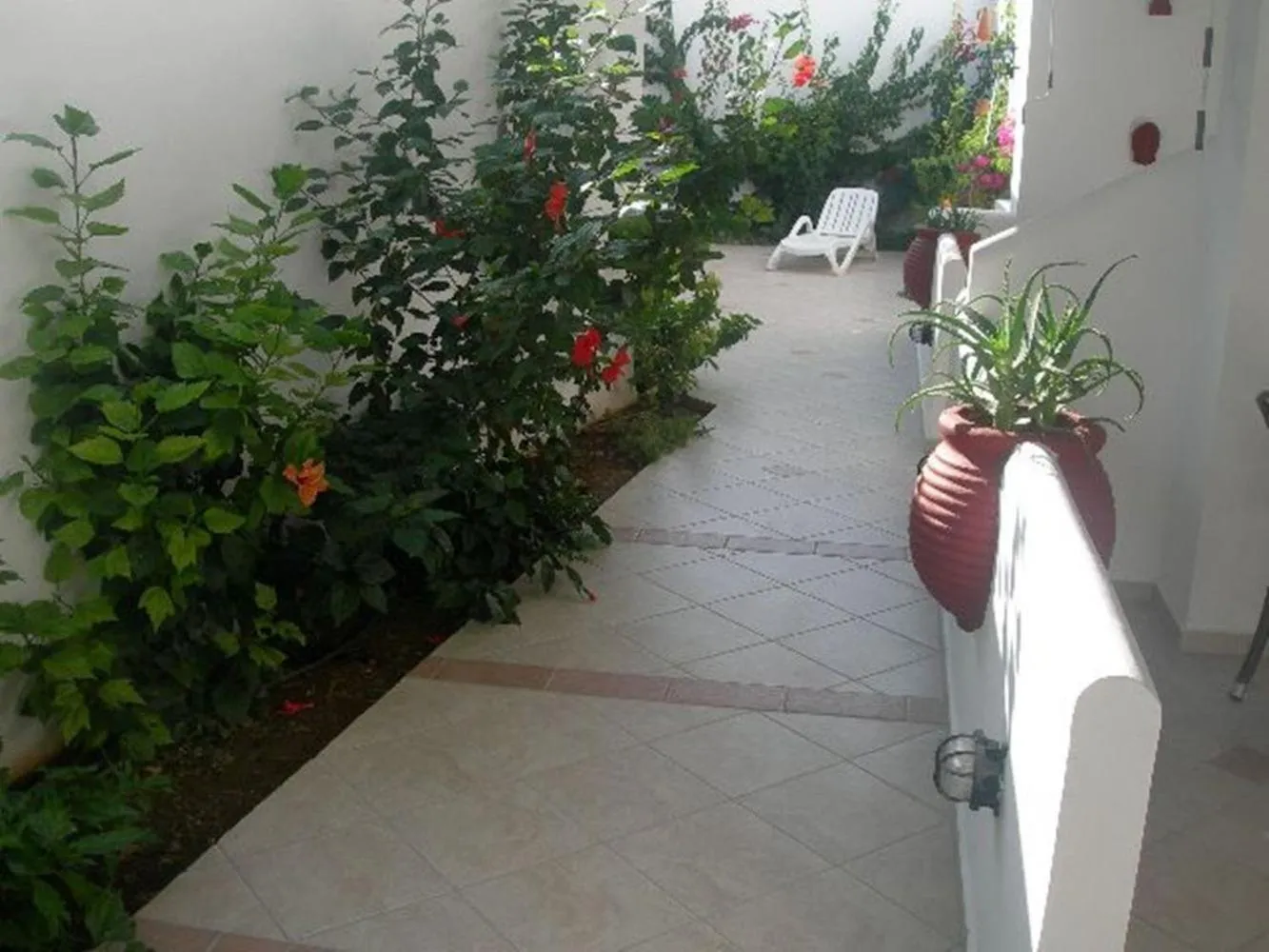 Area and facilities in Manto Studios