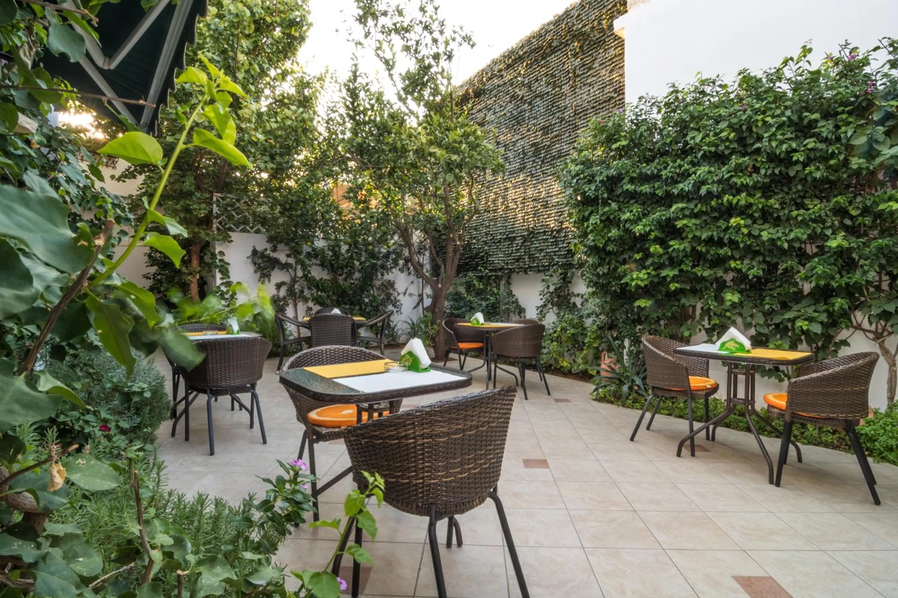 Garden in Manto Studios
