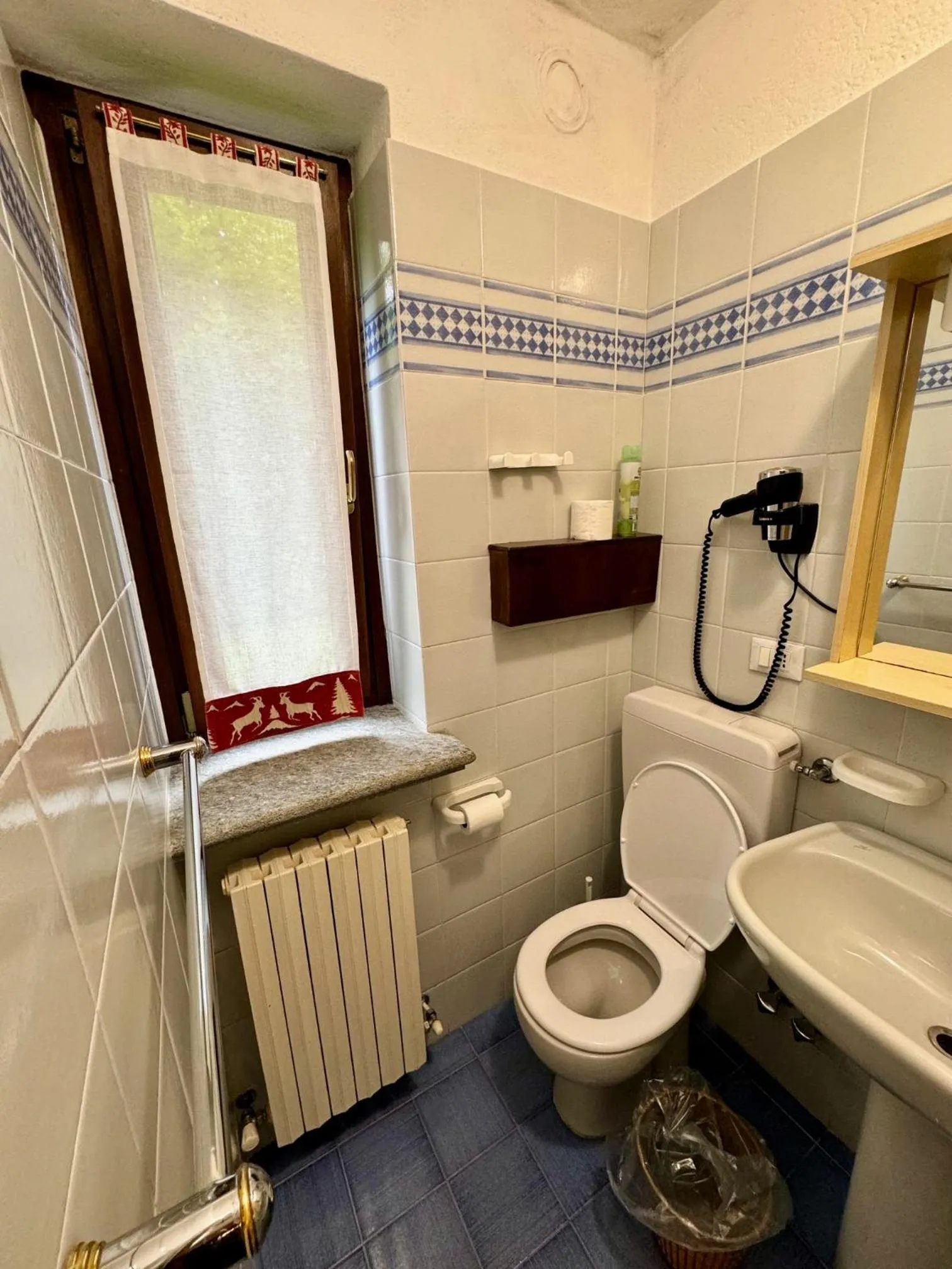 Bathroom in Hotel Edelweiss