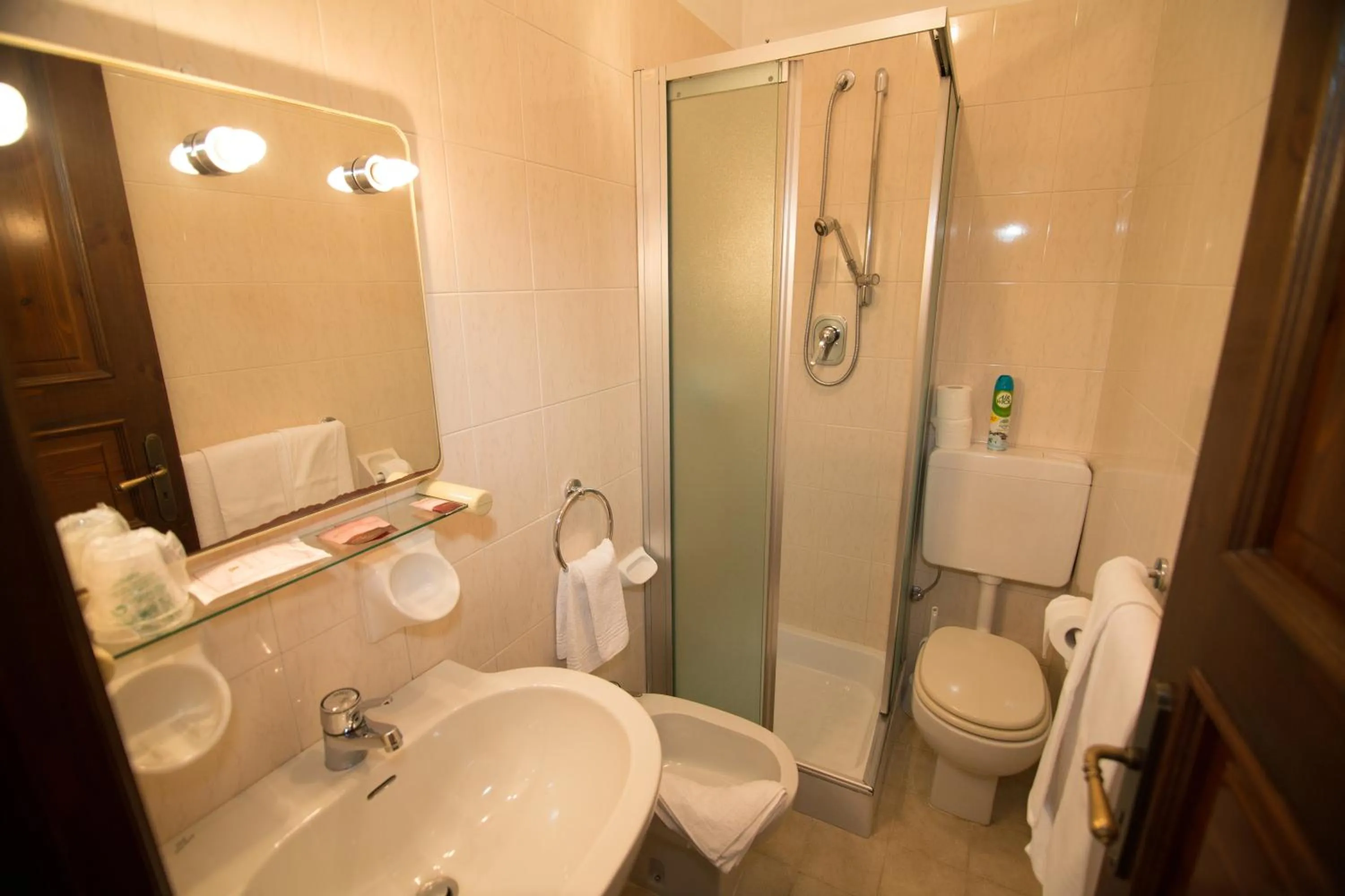 Bathroom in Hotel Edelweiss