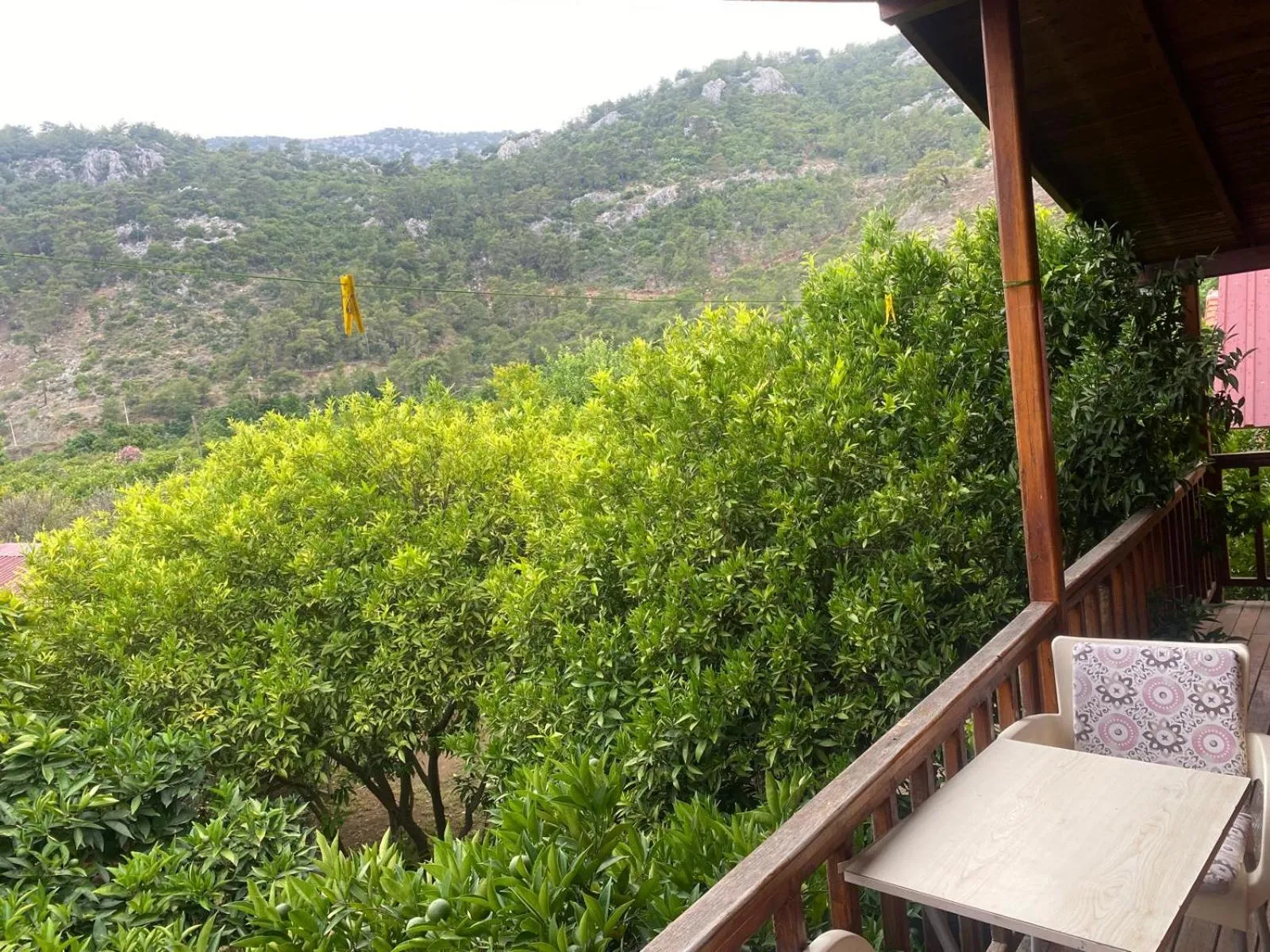 Natural landscape in Turkuaz Bungalows