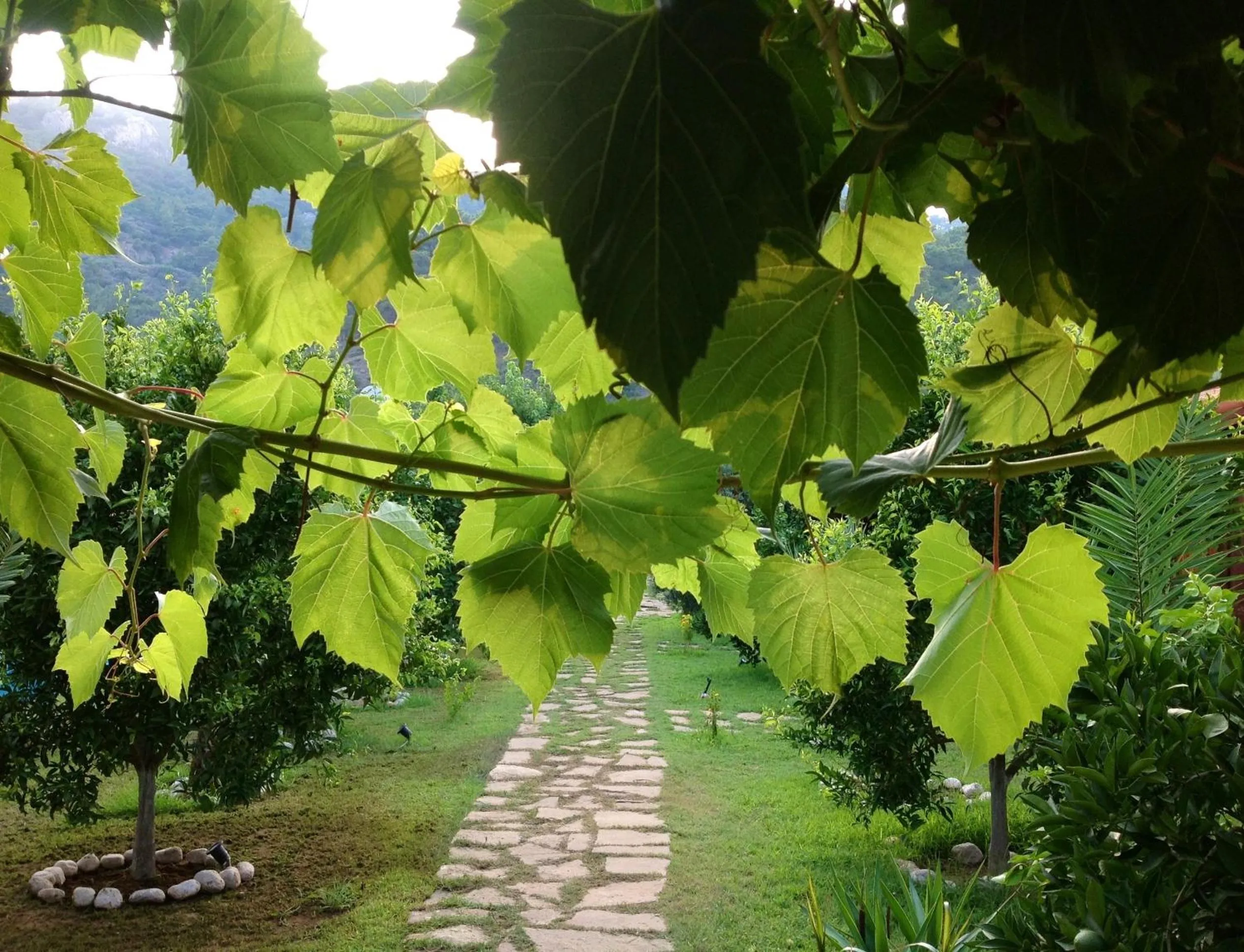 Spring in Turkuaz Bungalows