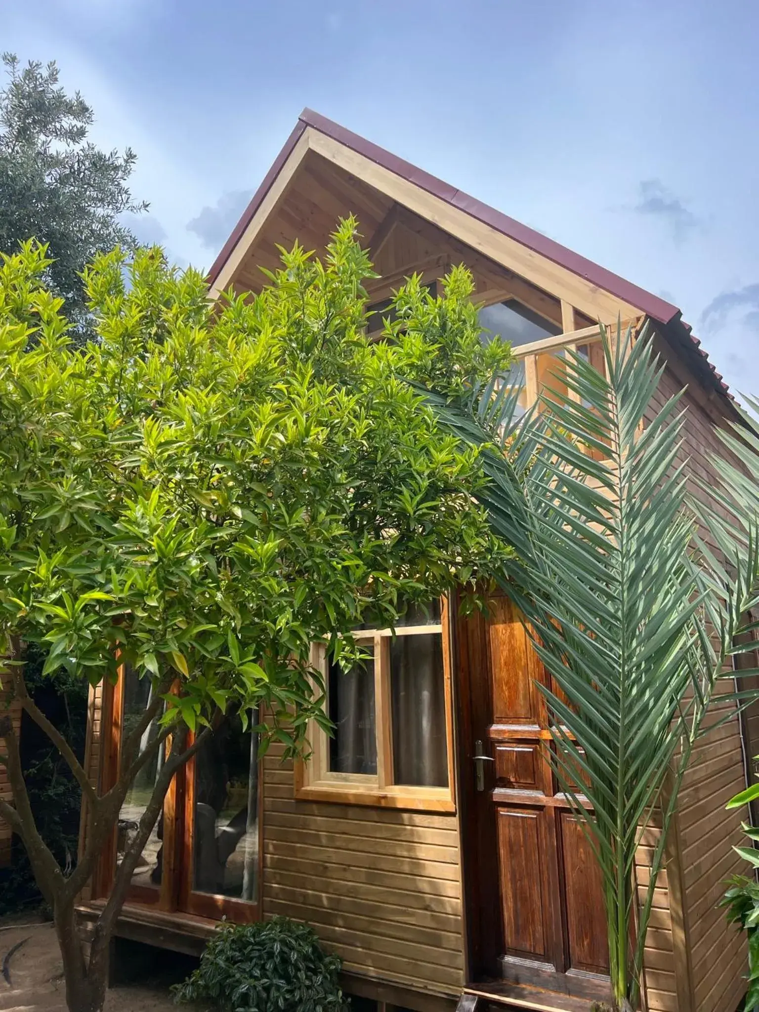 Property building in Turkuaz Bungalows Property building in Turkuaz Bungalows