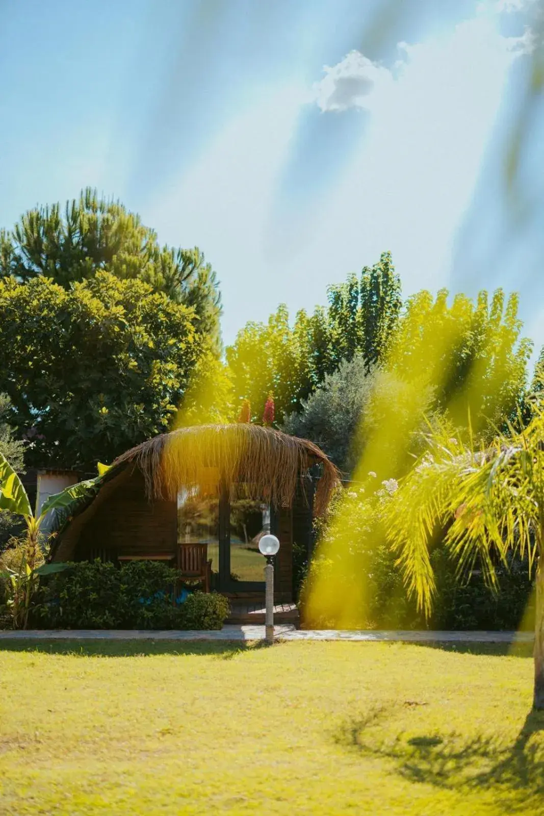 Garden in Turkuaz Bungalows Garden in Turkuaz Bungalows