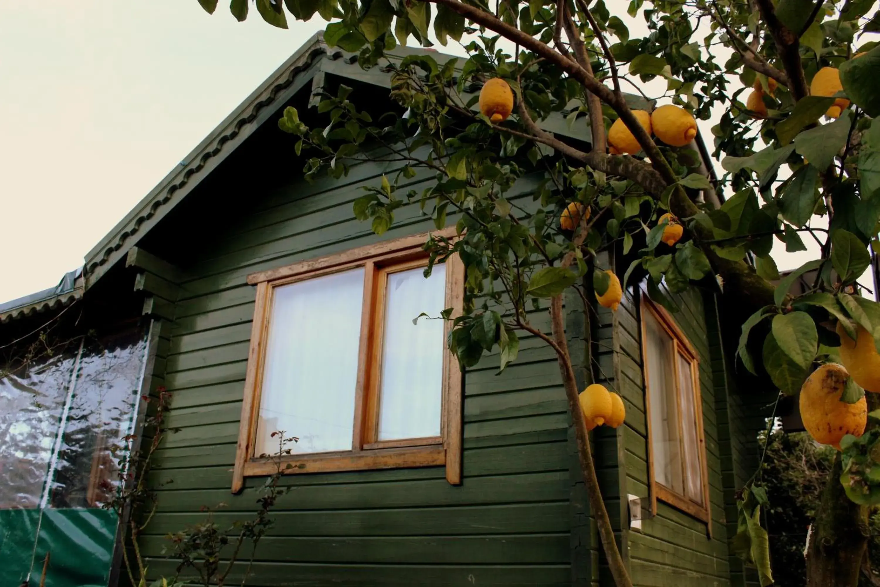 Property building in Turkuaz Bungalows Property building in Turkuaz Bungalows