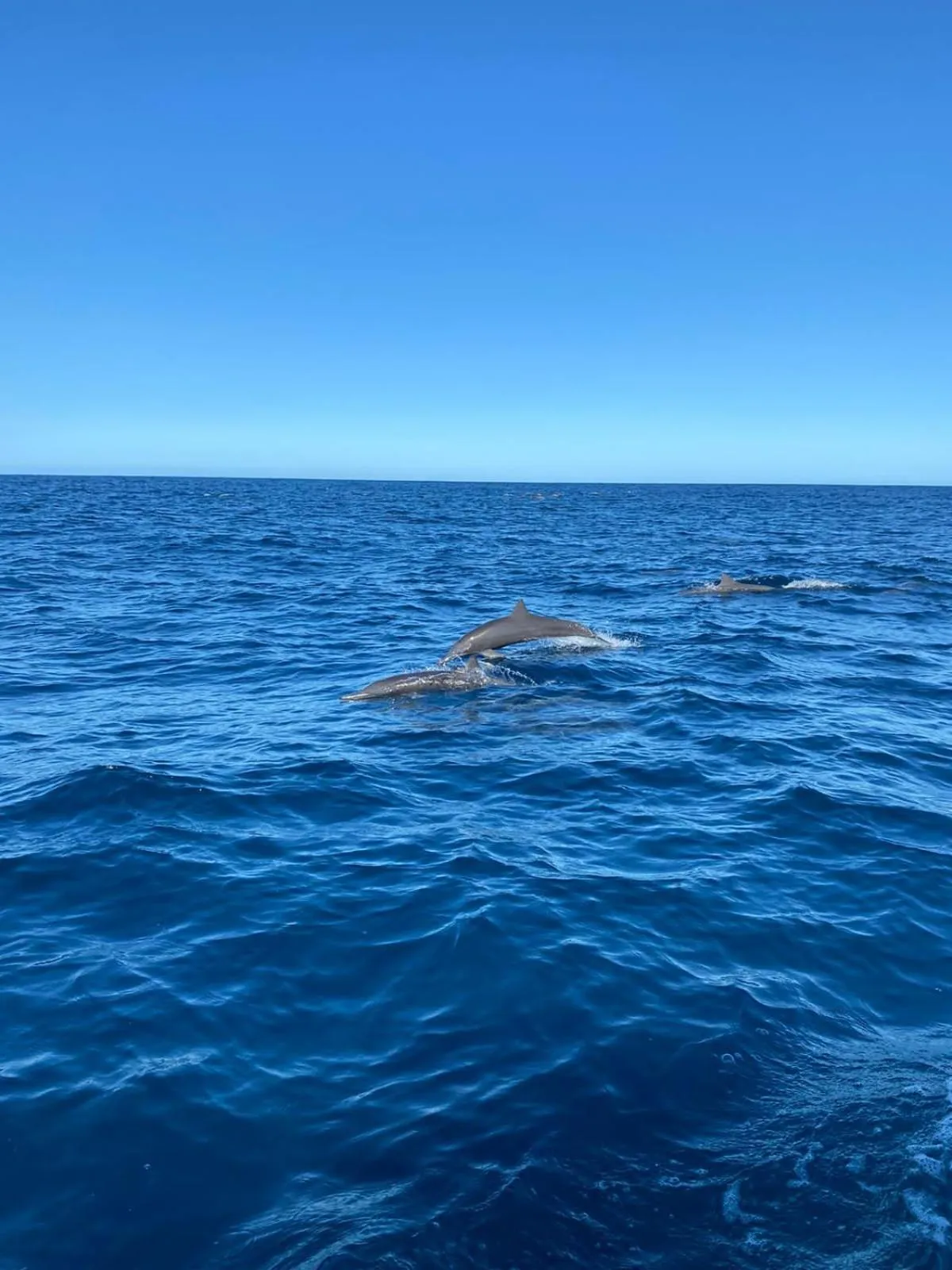 Natural landscape in Boutique Hotel Luna Azul