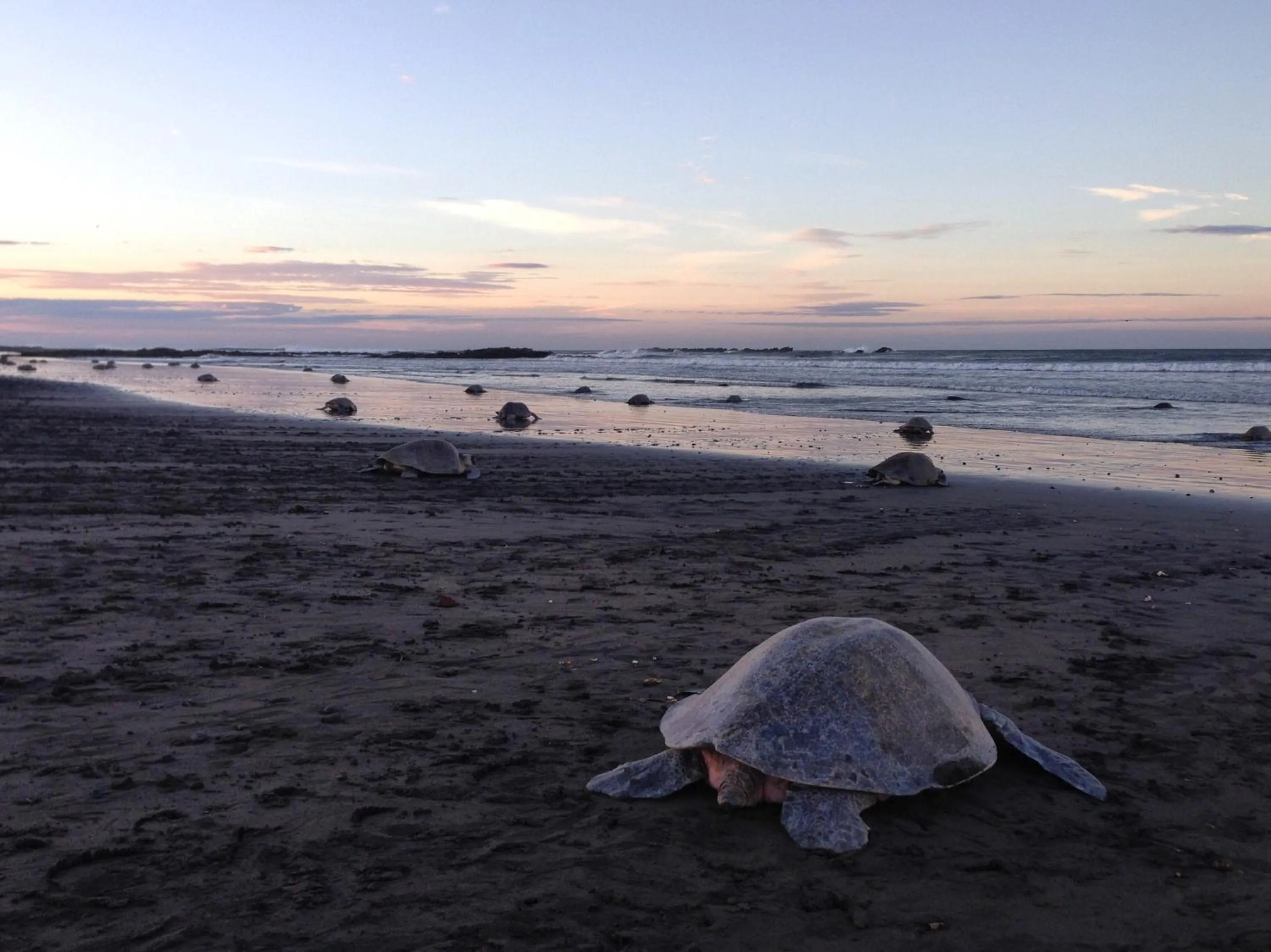 Beach in Boutique Hotel Luna Azul