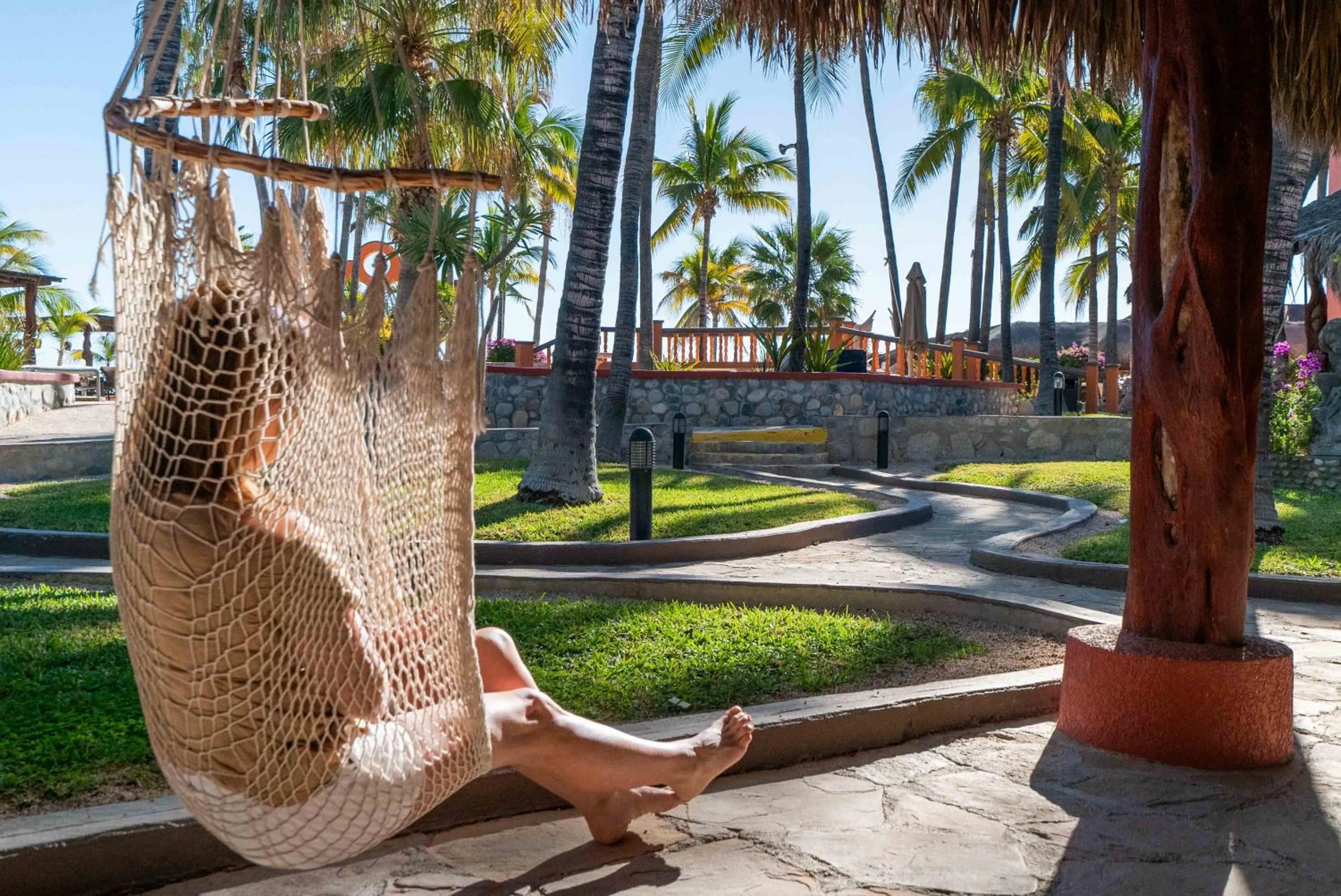 Hotel Palmas De Cortez