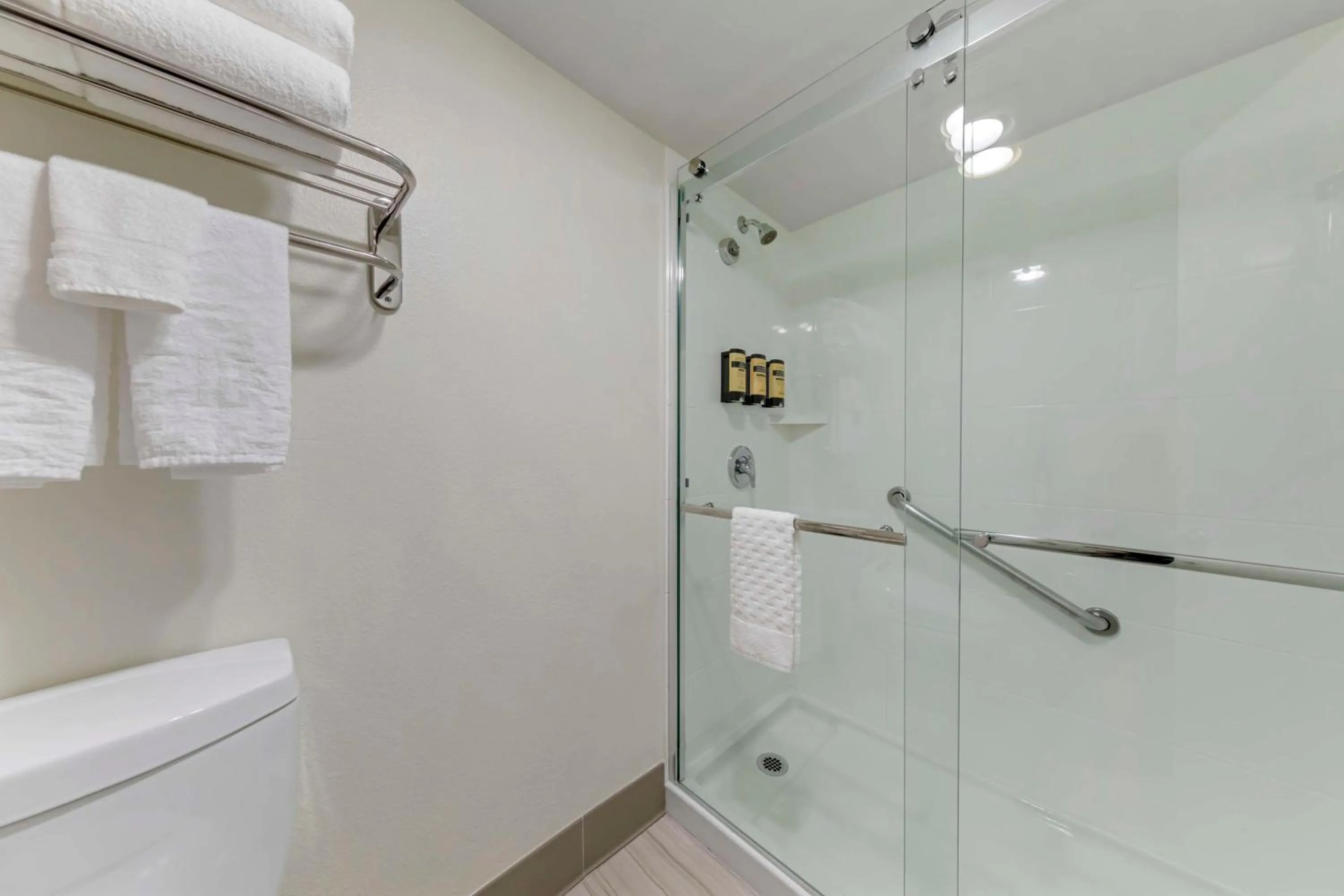 Bathroom in Best Western Plus Executive Inn