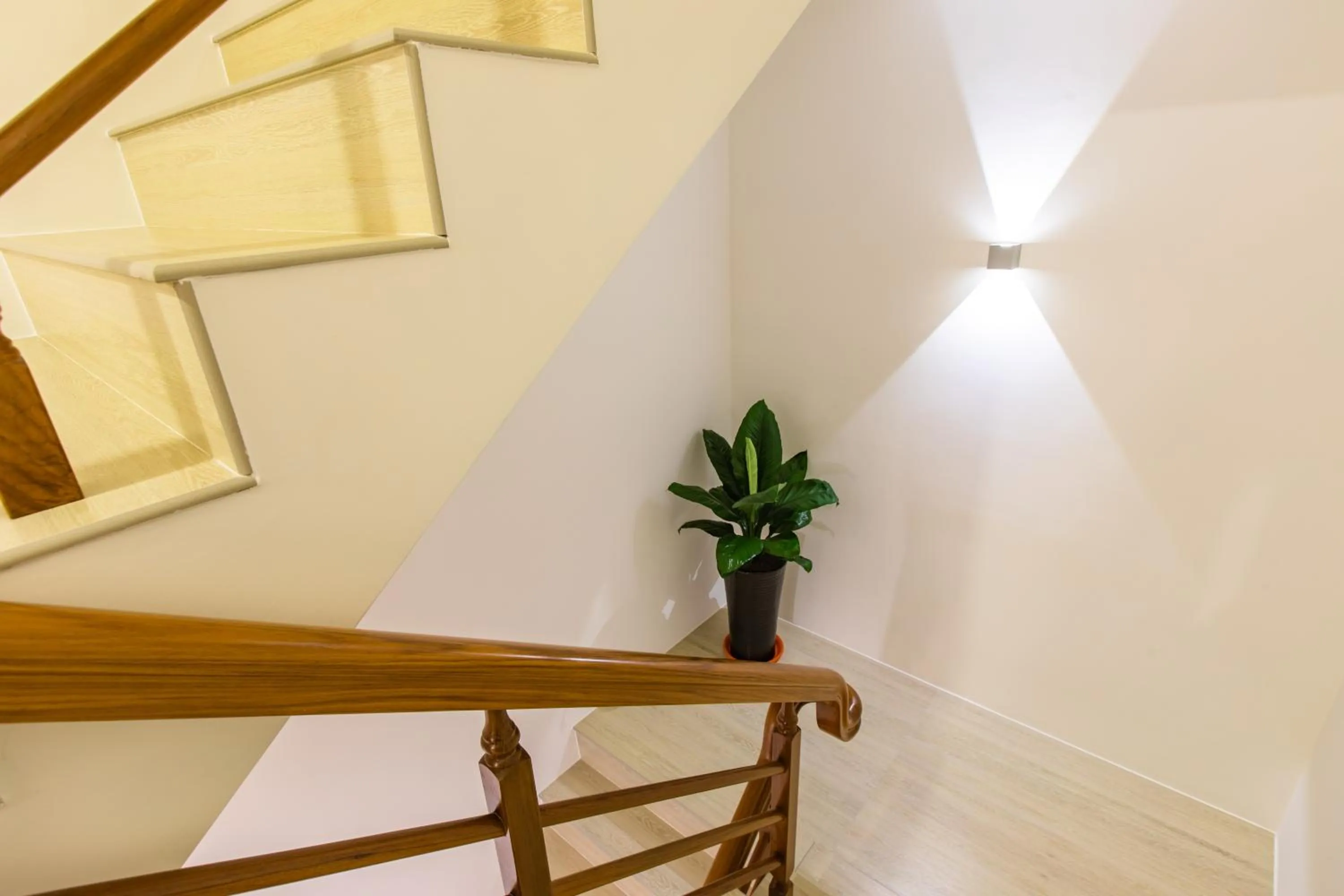 Decorative detail in Araucaria Residence