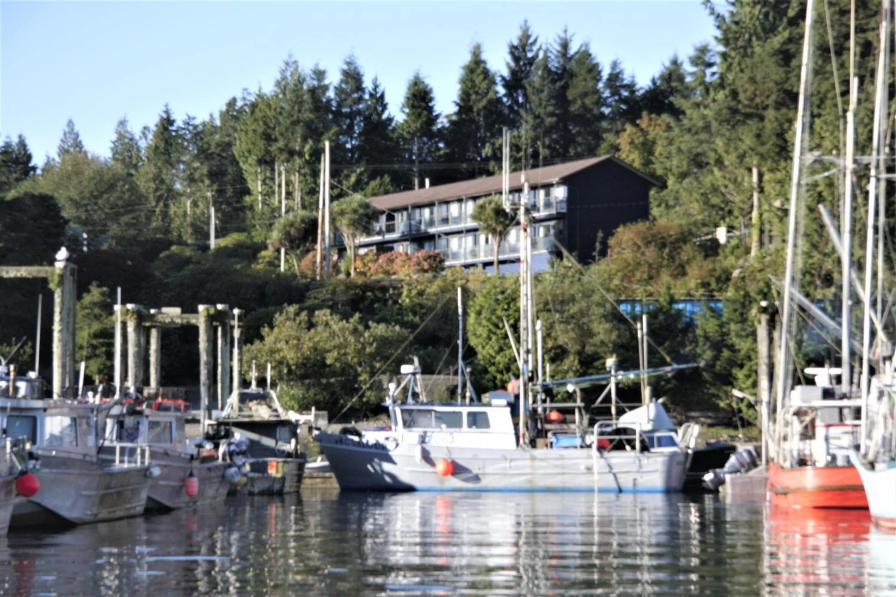 Property building in Tofino Motel Harbourview