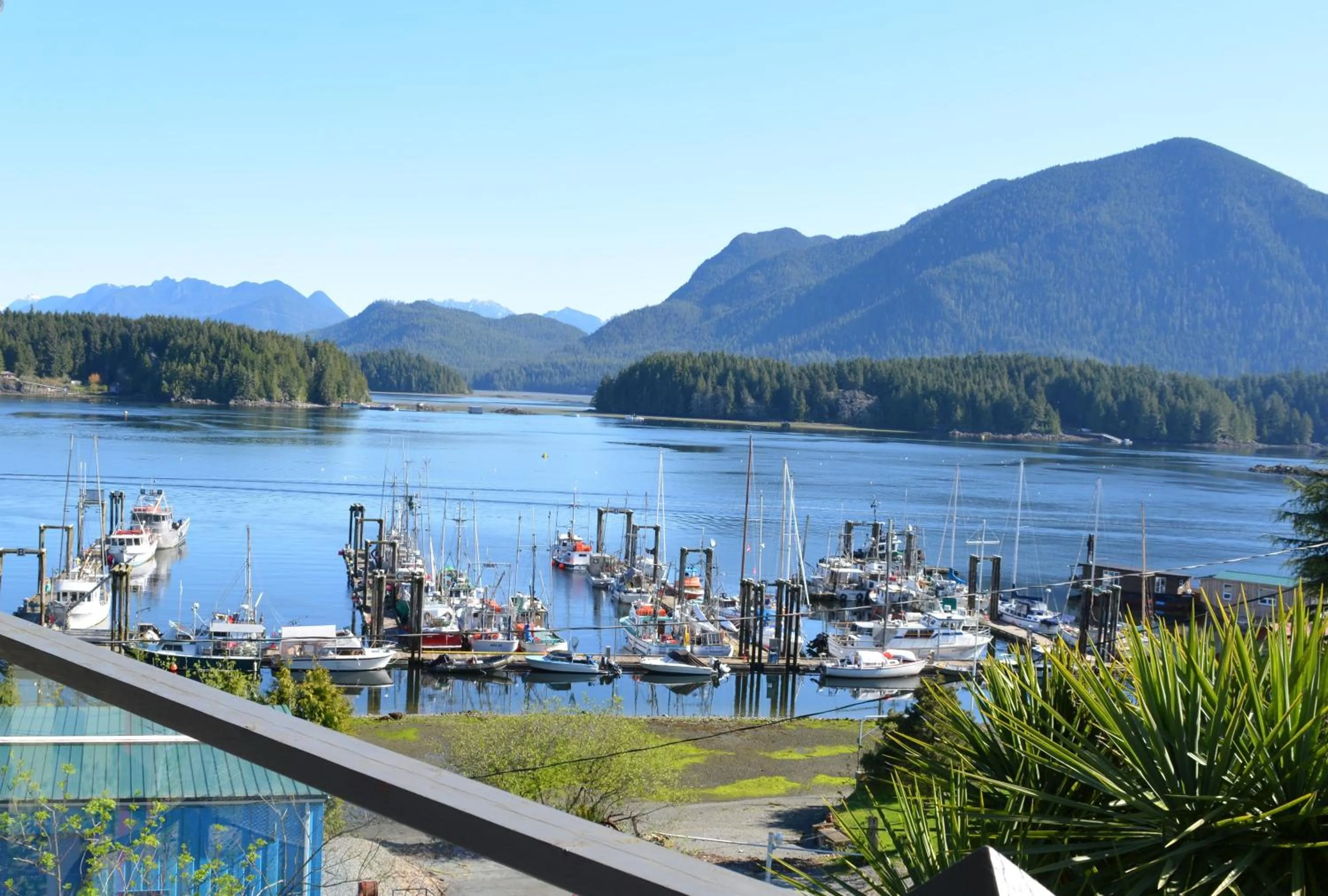View (from property/room) in Tofino Motel Harbourview