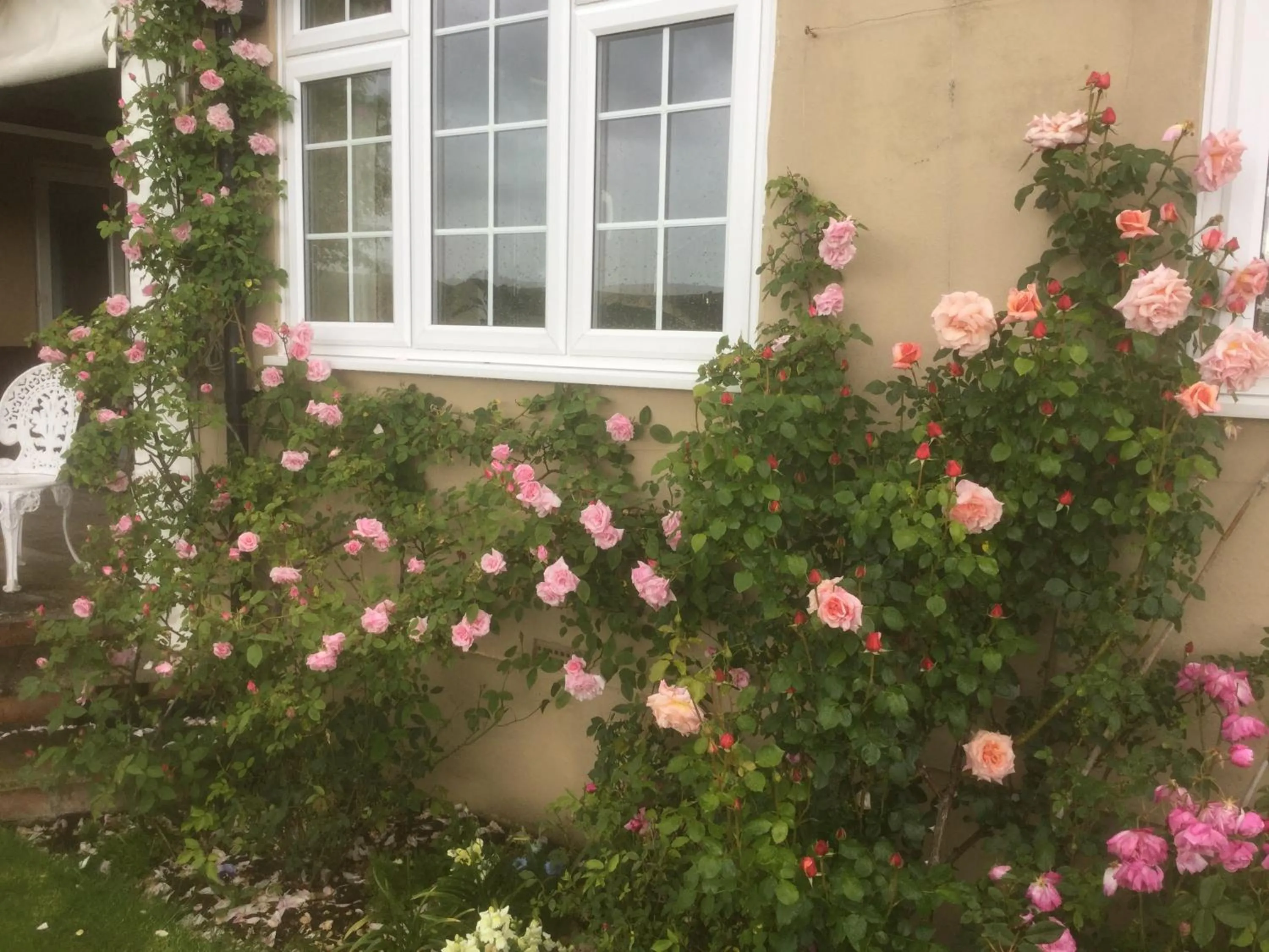 Garden view in Deverill End