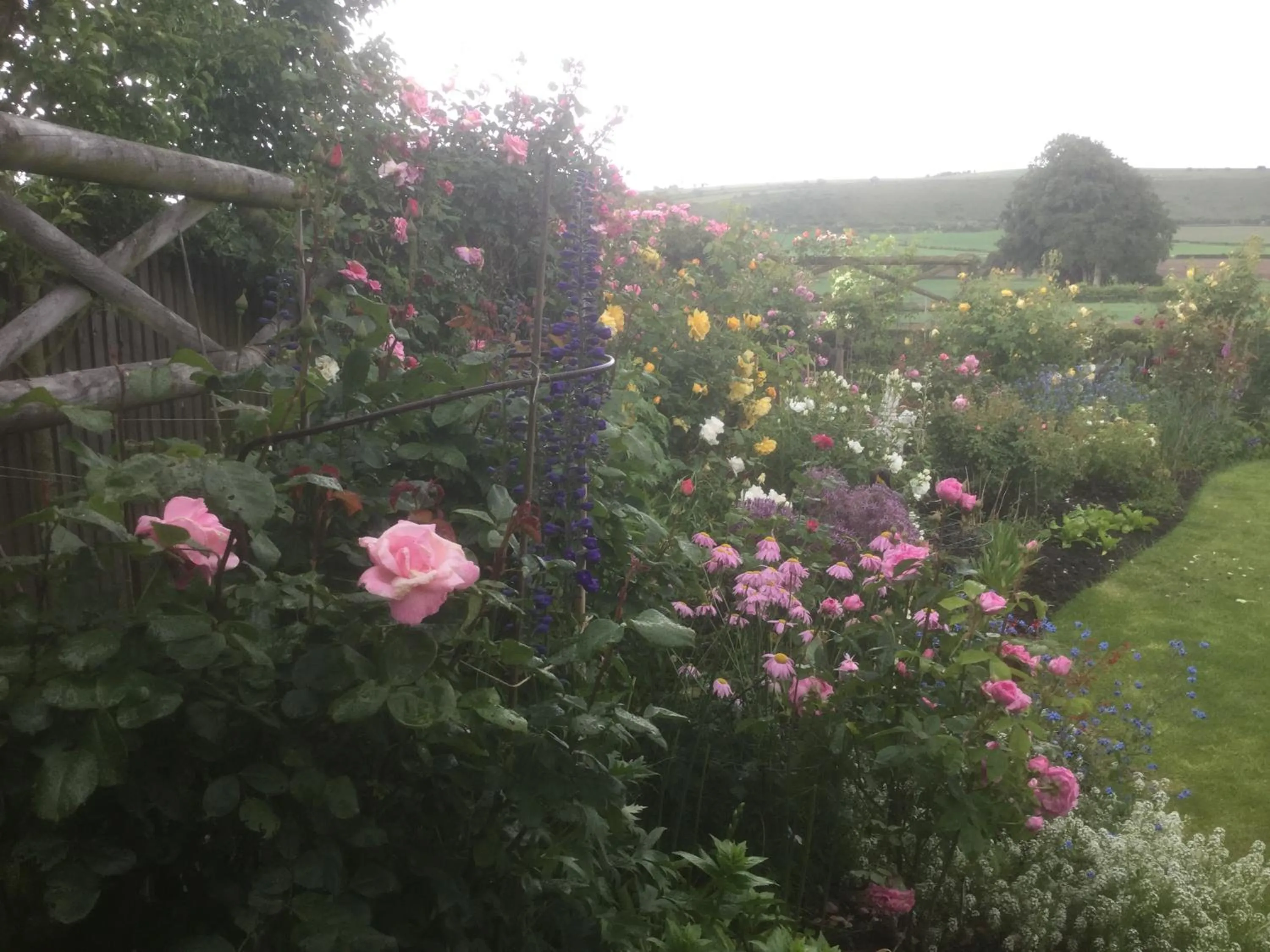 Garden in Deverill End