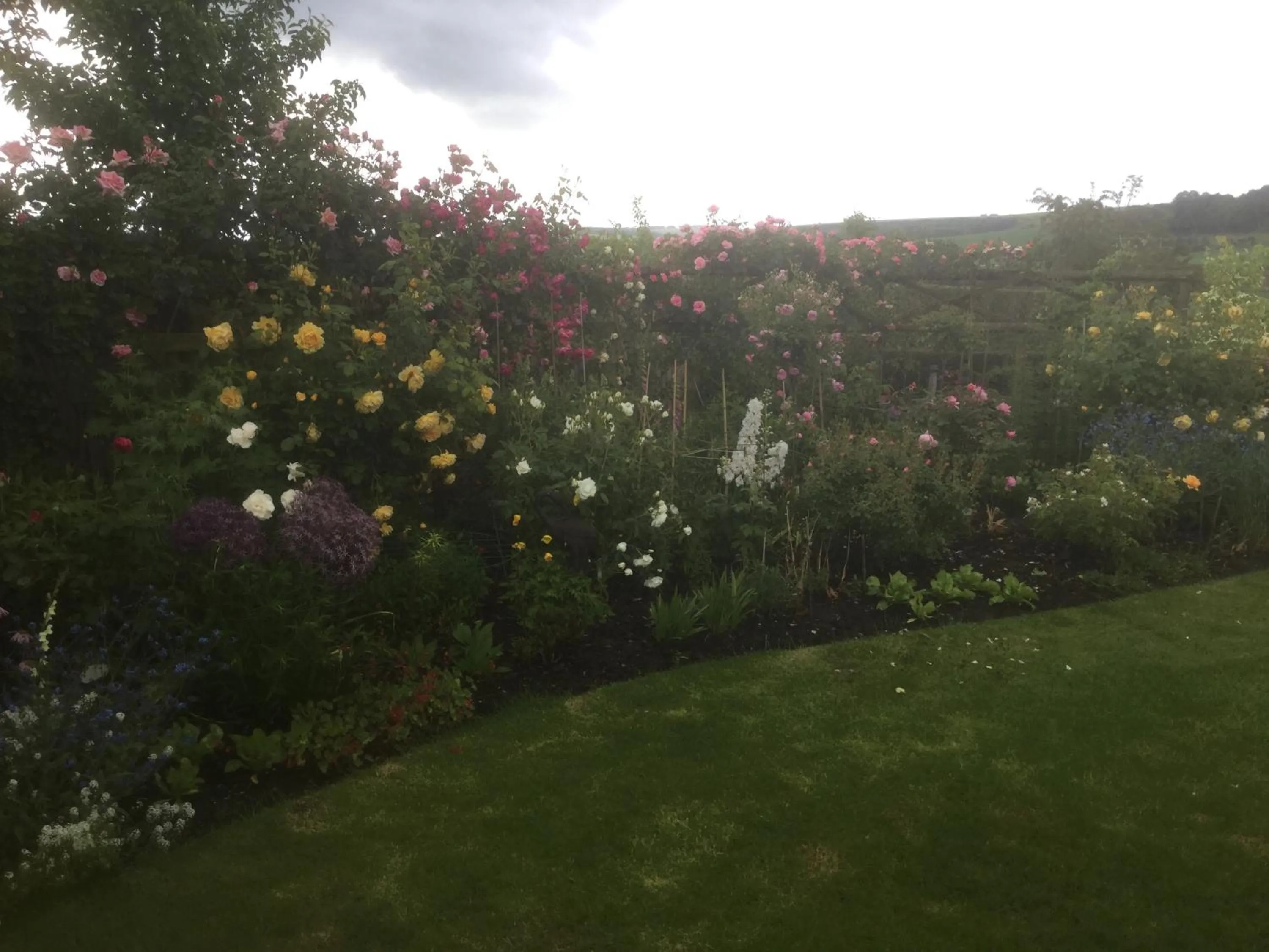 Garden view in Deverill End
