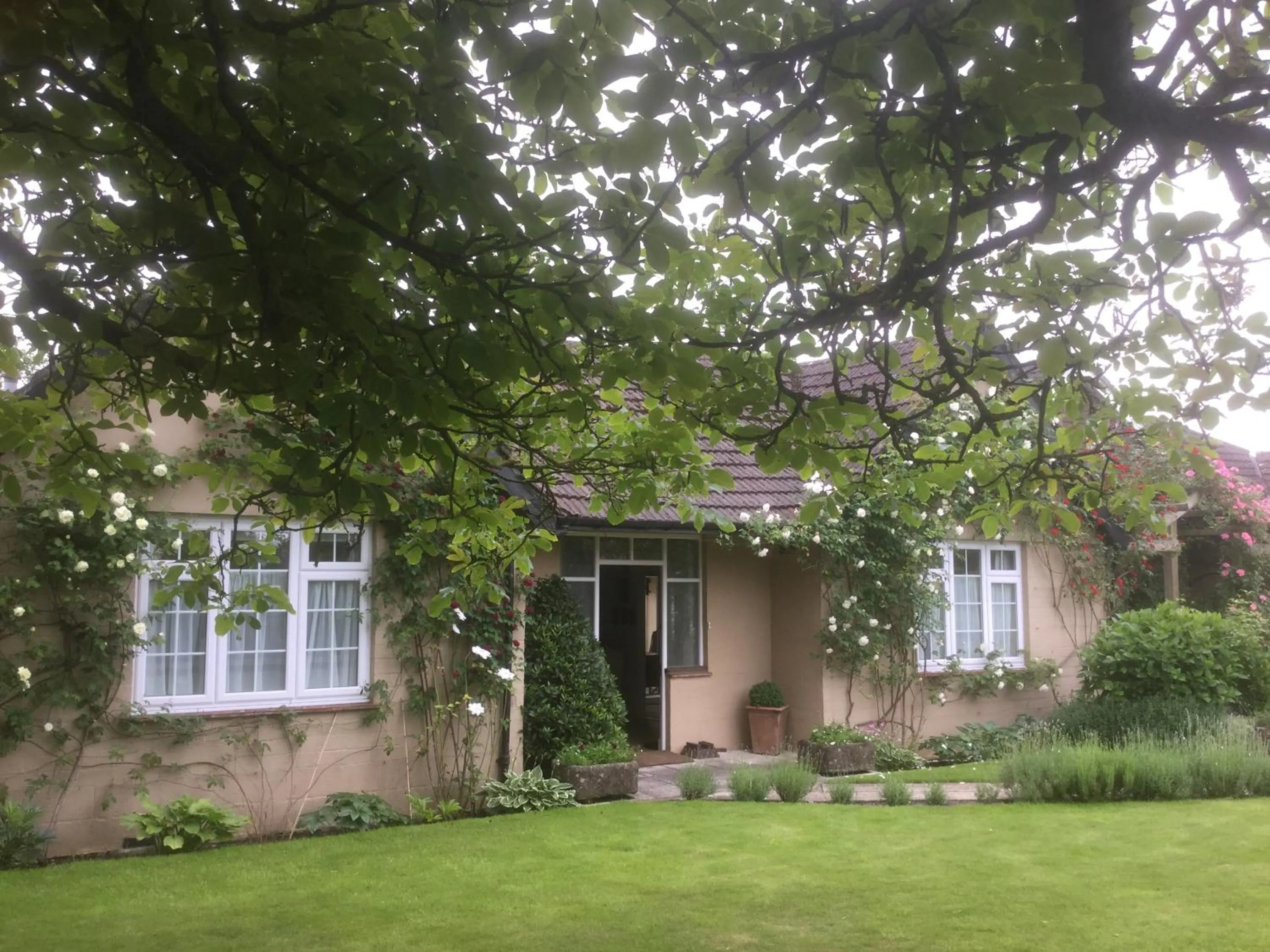Property building in Deverill End