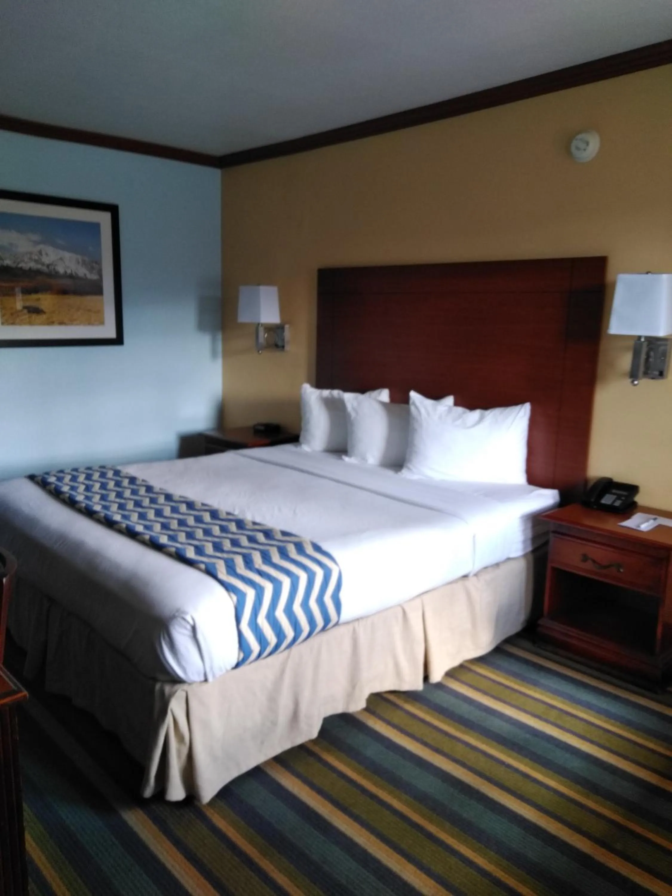 Bed in Travelodge by Wyndham Bishop