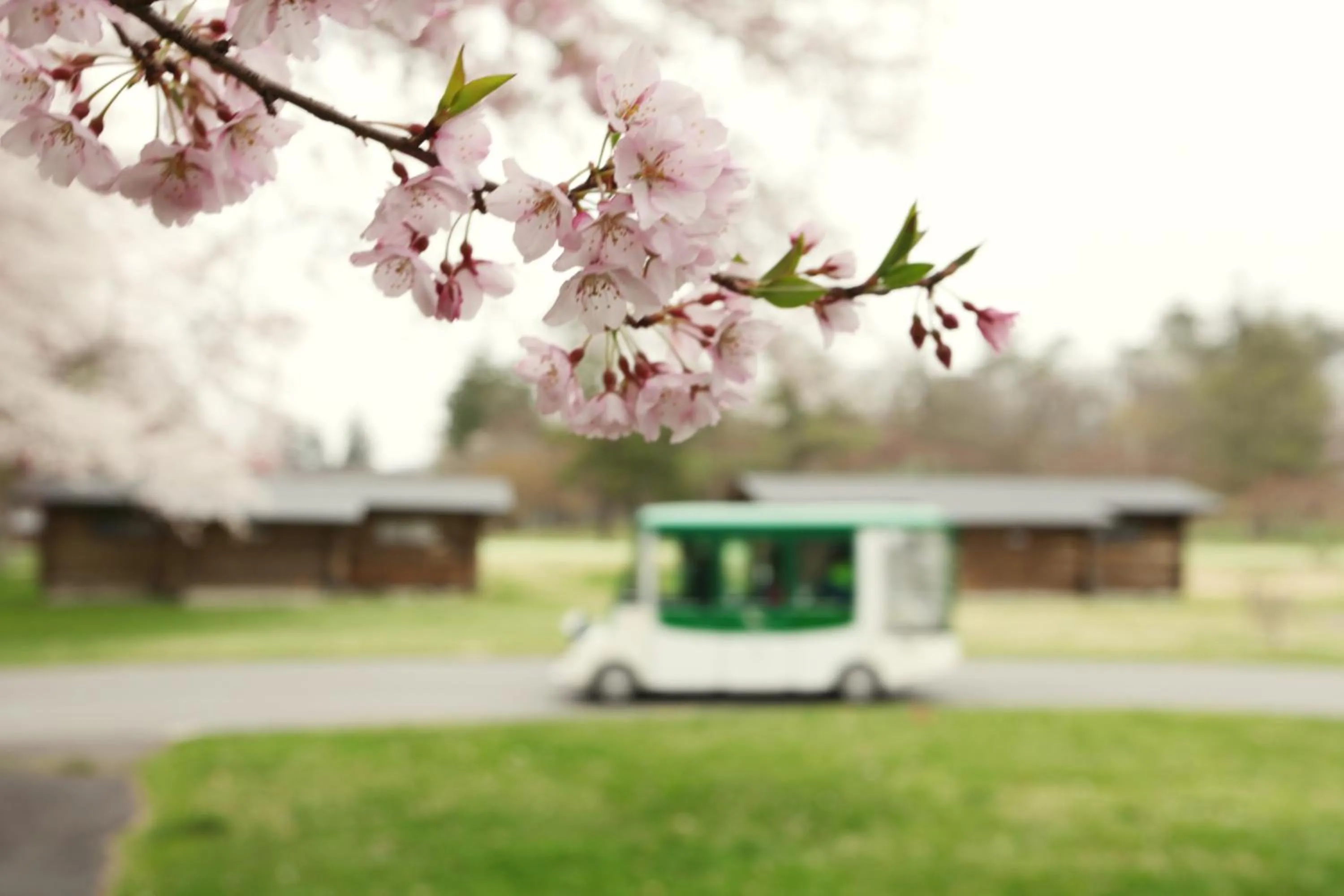 On site in Karuizawa Prince Hotel West