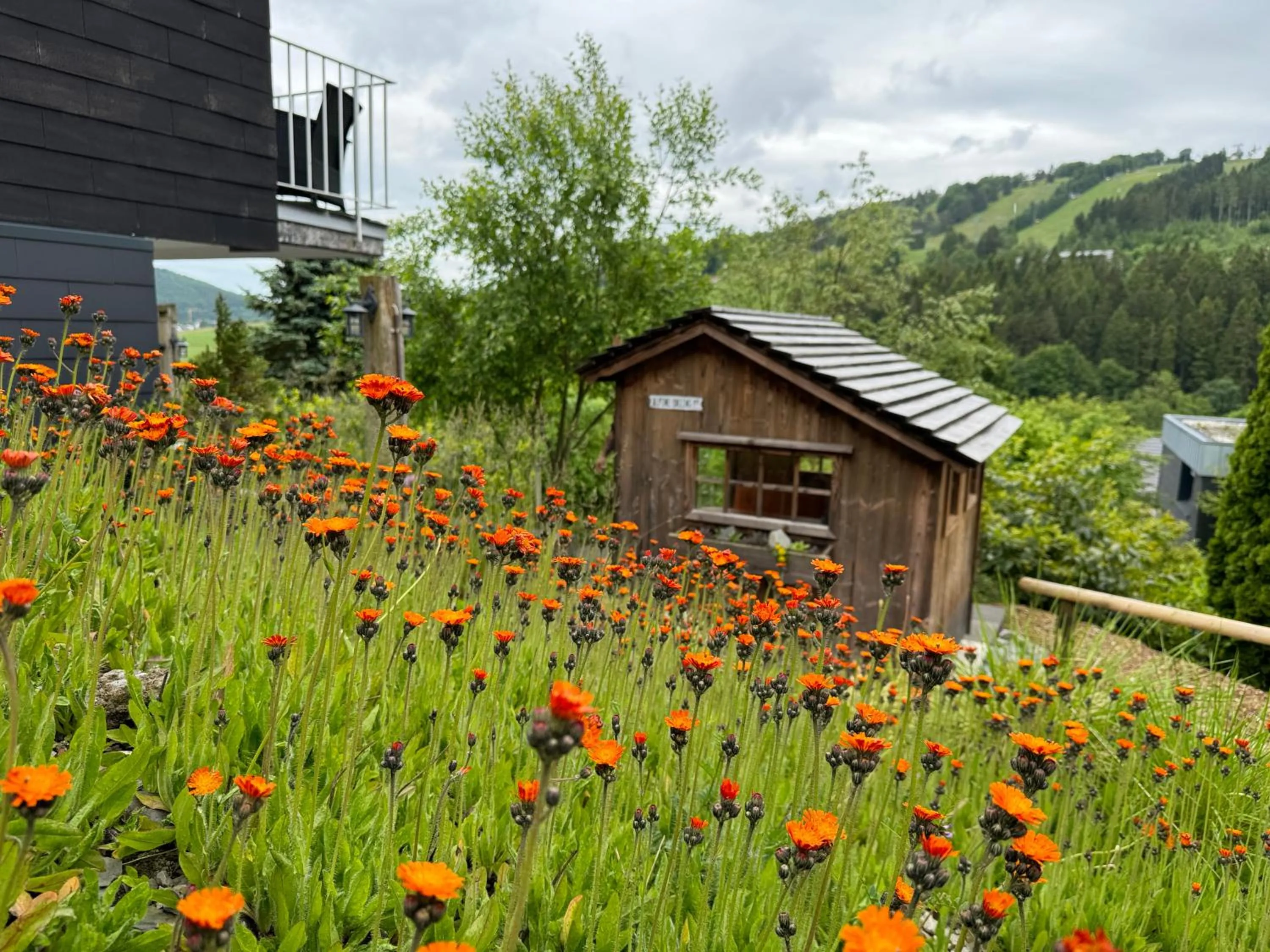 Property building in Bergchalet Heidestock