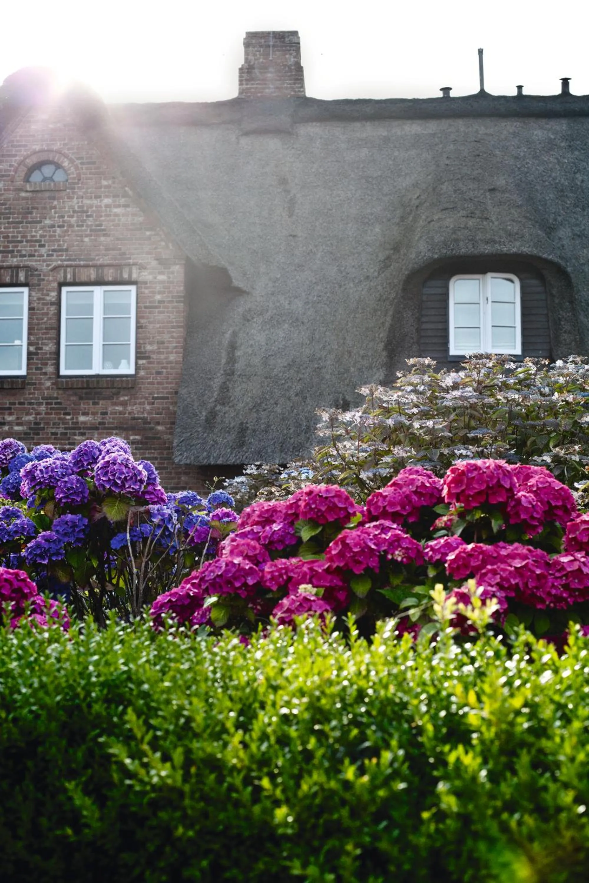 Living room in Appartementhaus Lüüvhoog