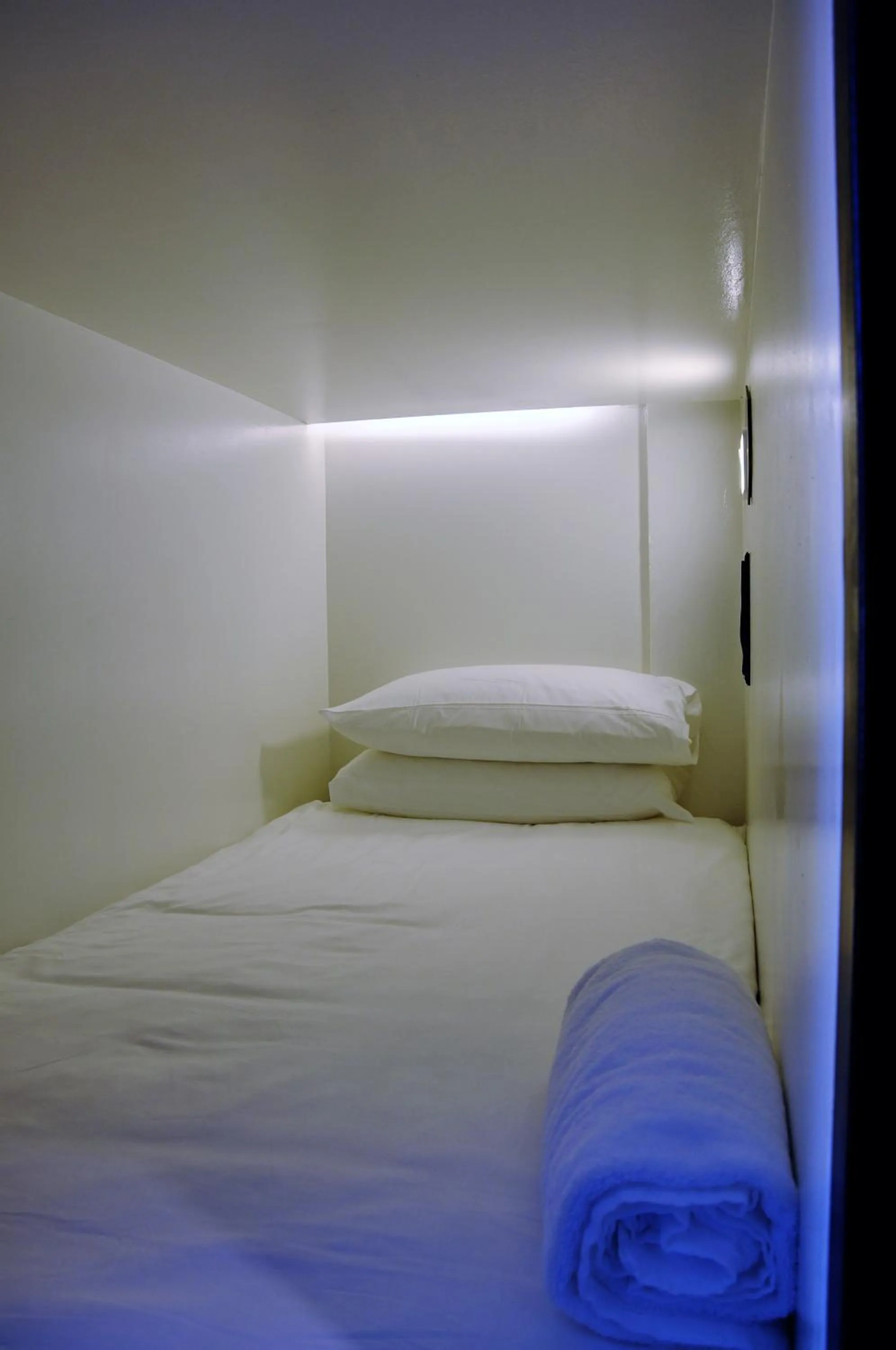 Bed in Beary Best! Hostel Kampong Glam