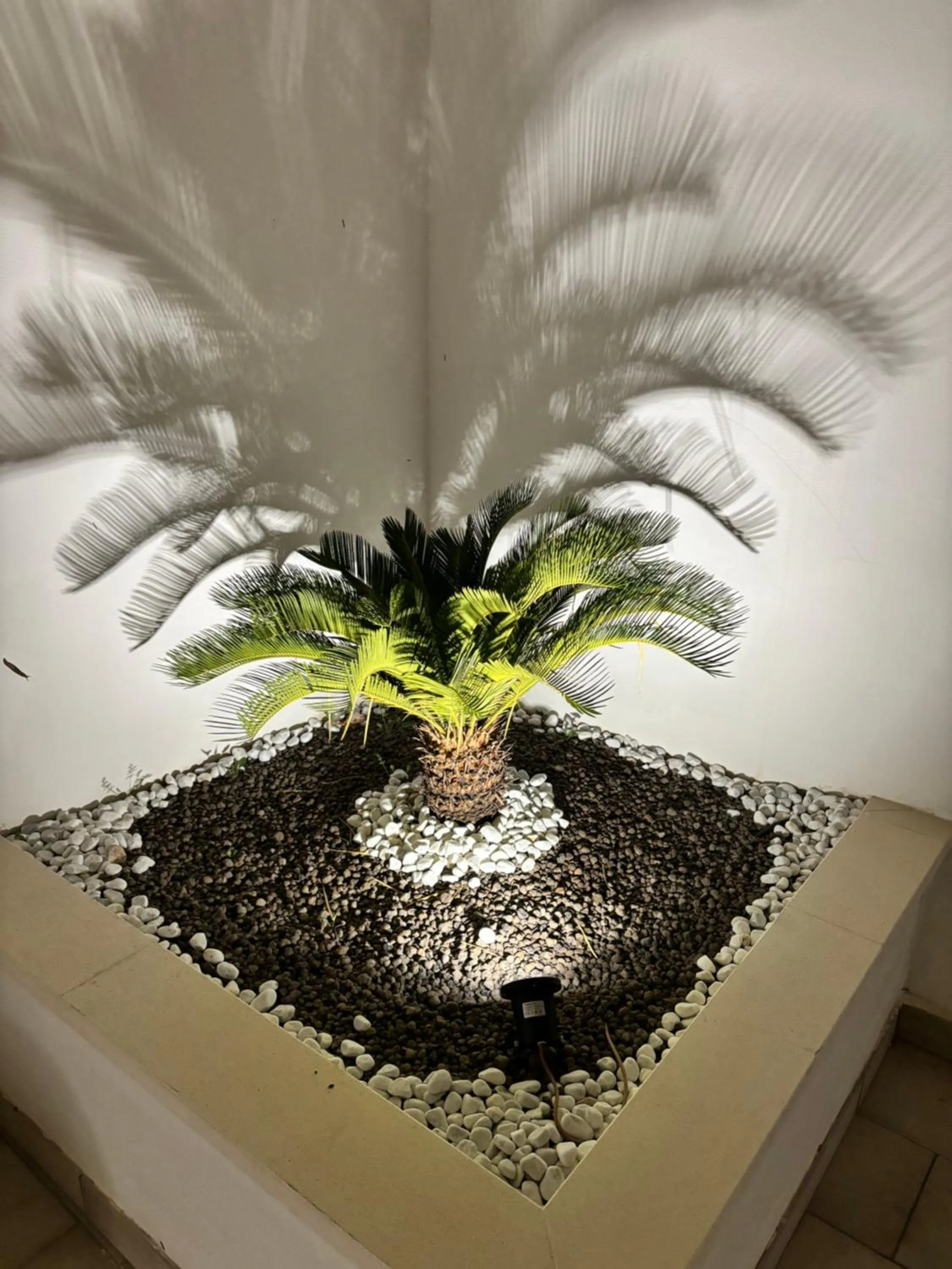 Decorative detail in B&B Casa Dolce Casa