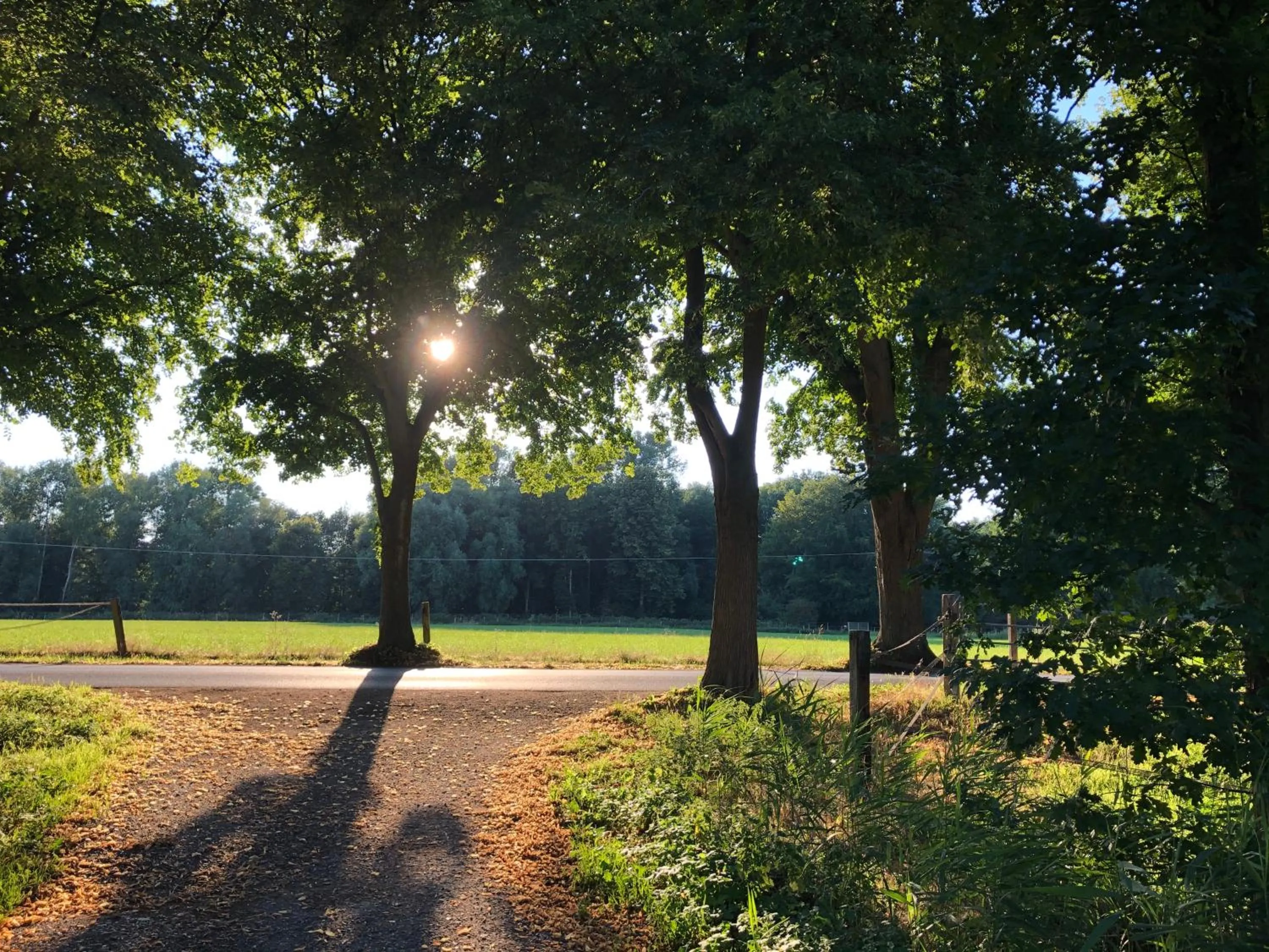 Natural landscape in Hotel Haus am Rieth