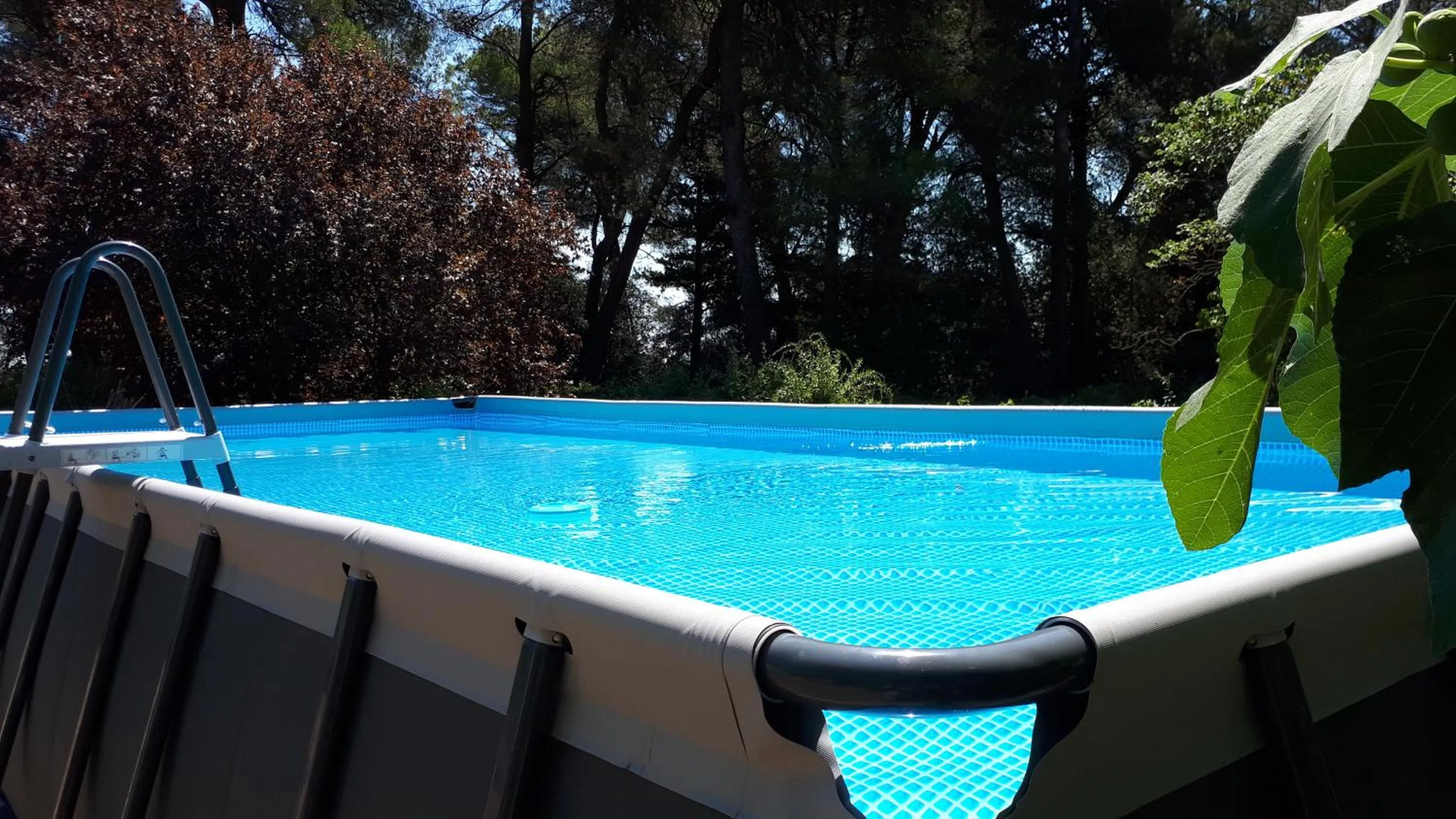 Swimming pool in Domaine de la Matte