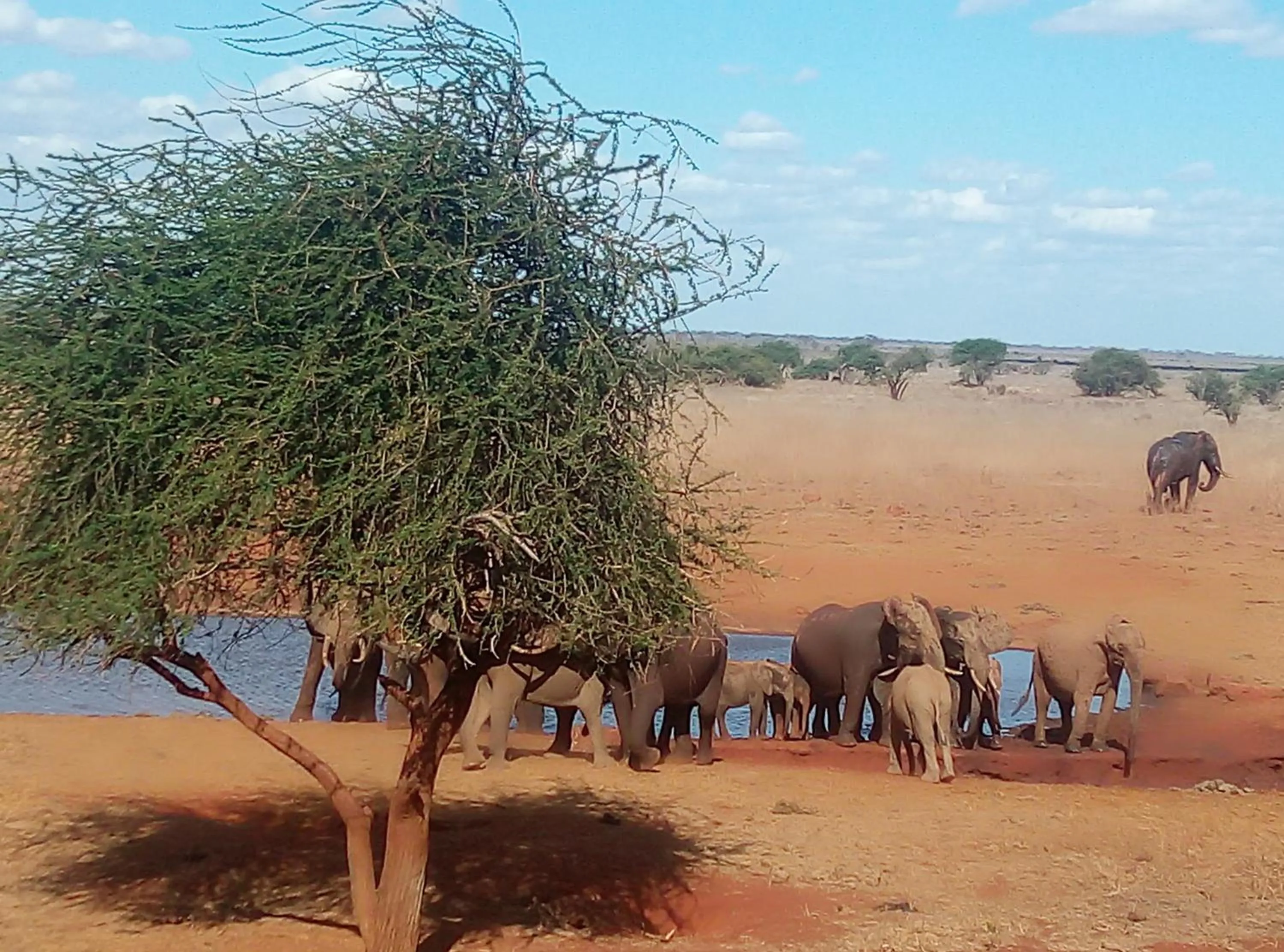 Off site in Aqua Resort