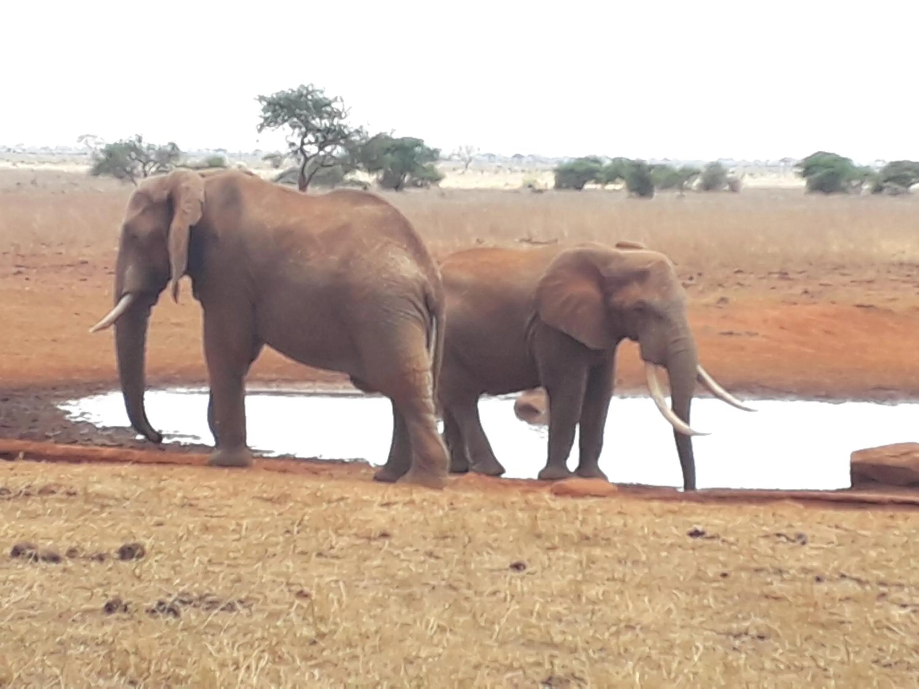 Off site in Aqua Resort