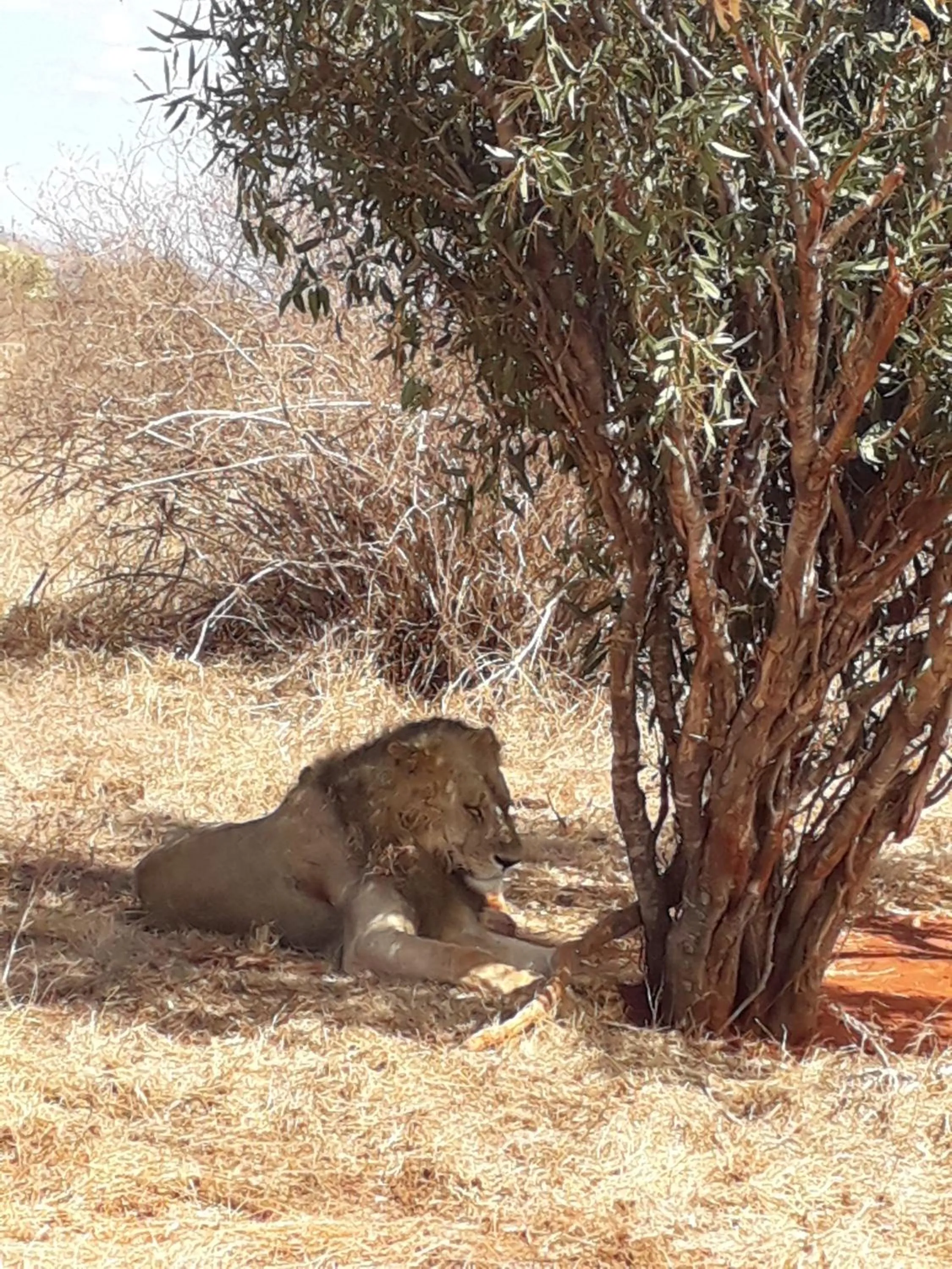 Off site in Aqua Resort