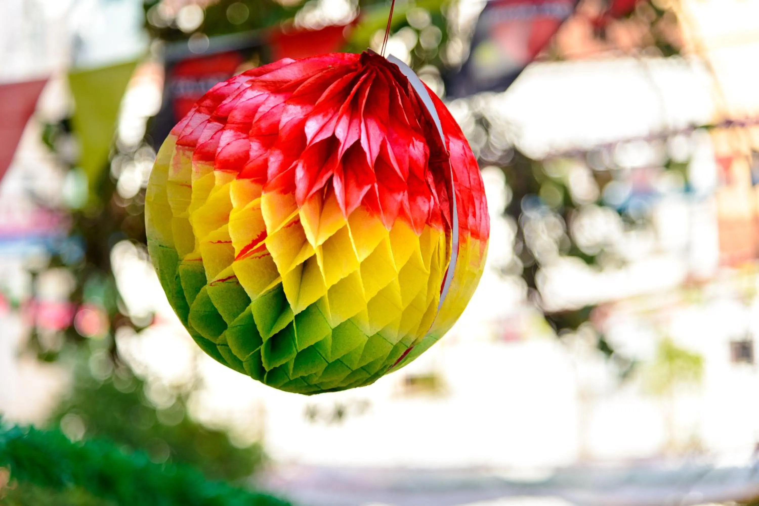 Summer in Sitio dos Cavaleiros Daily Serviced Apartments