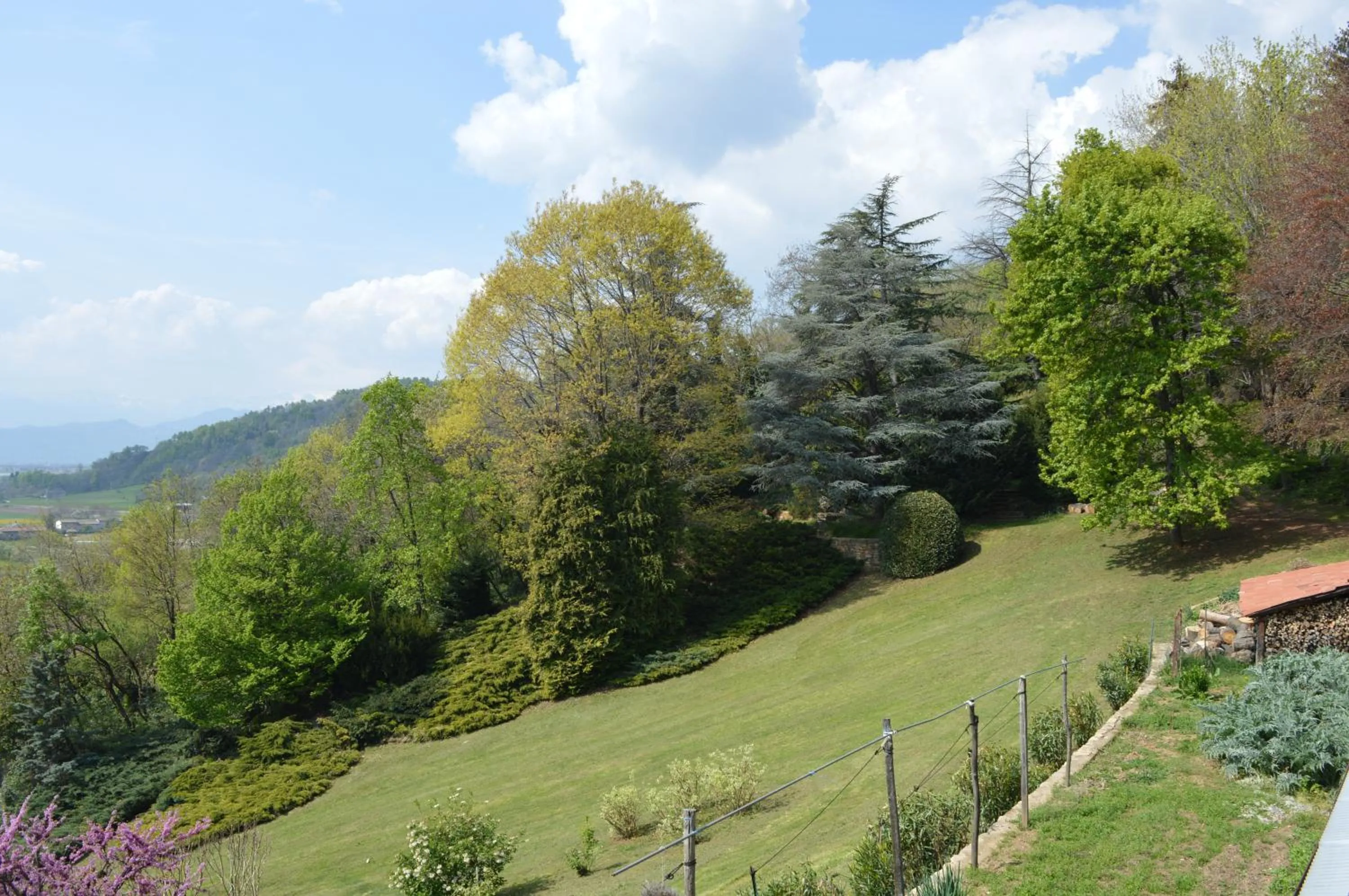 Natural landscape in L'uovo e la faina