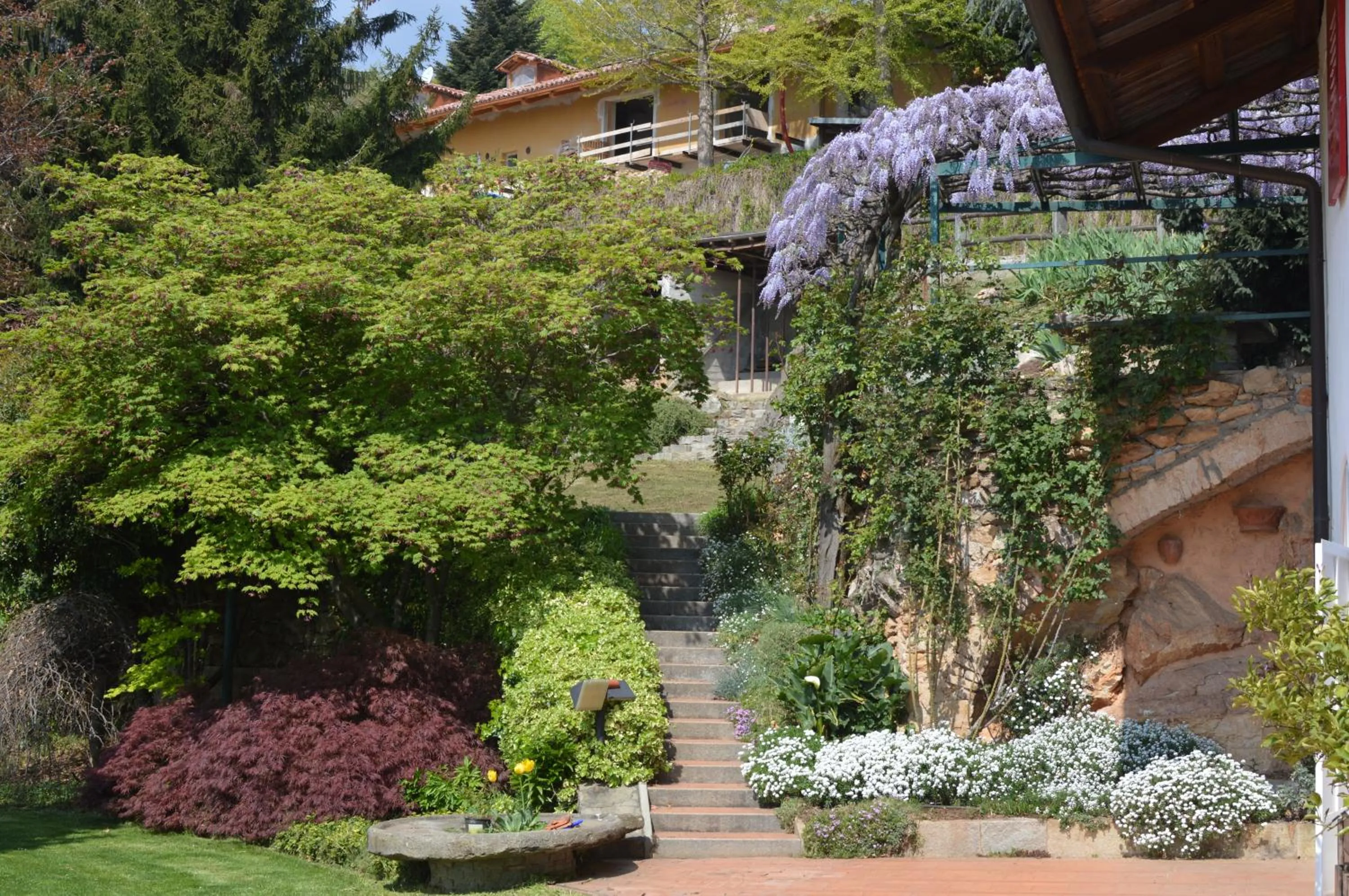 Natural landscape in L'uovo e la faina