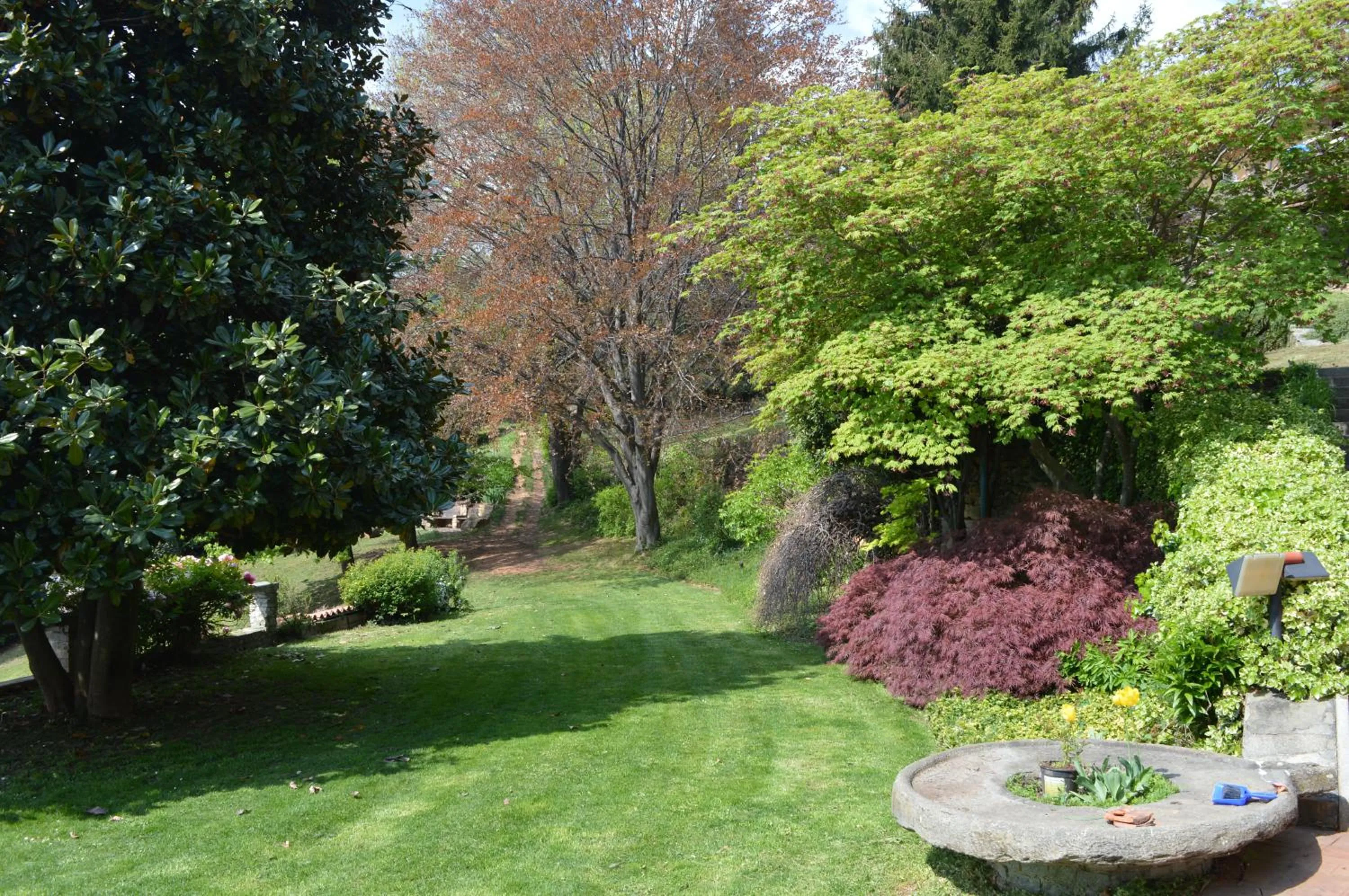 Garden view in L'uovo e la faina