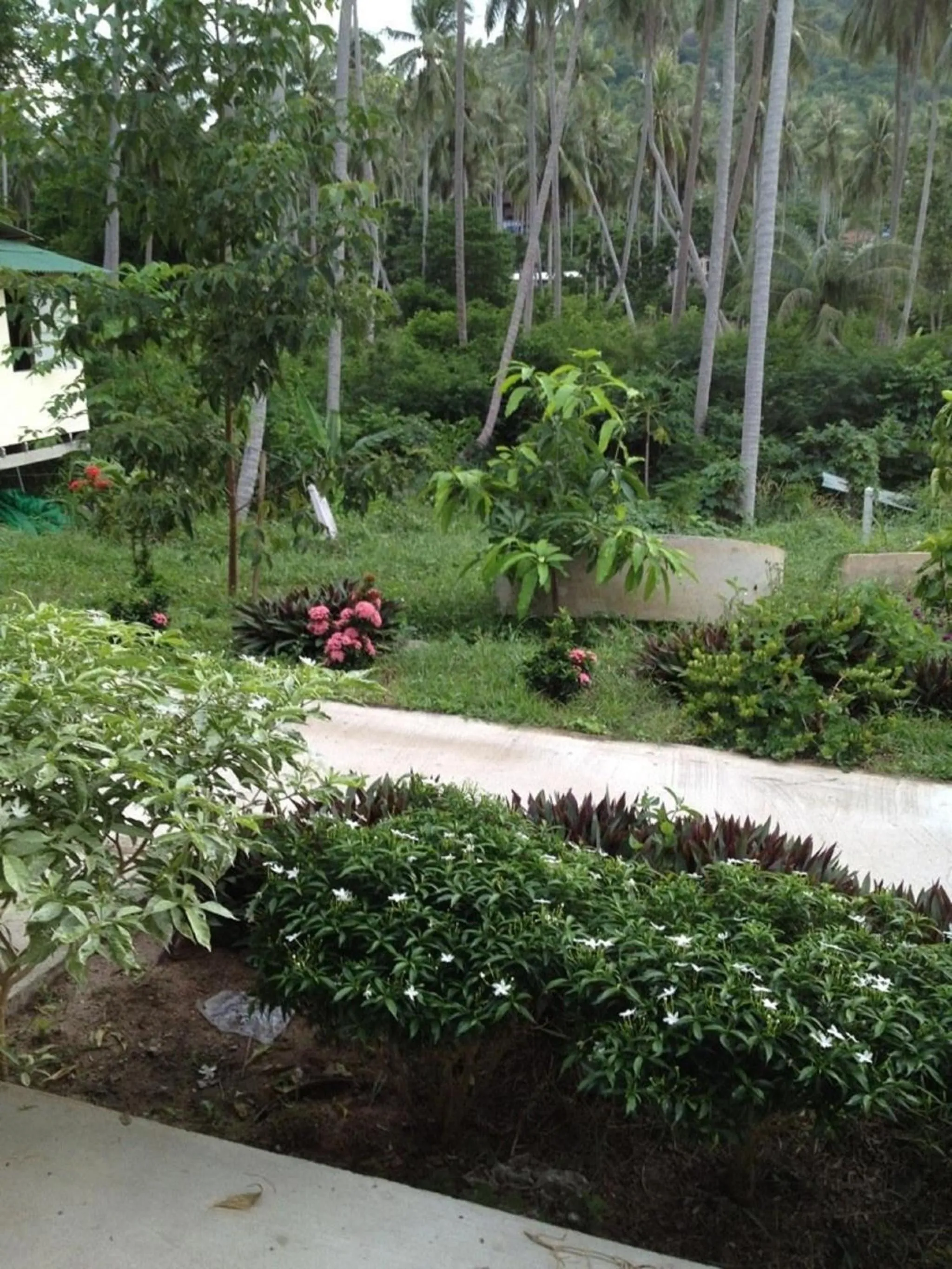 Garden in Baan Suan Ta Hotel