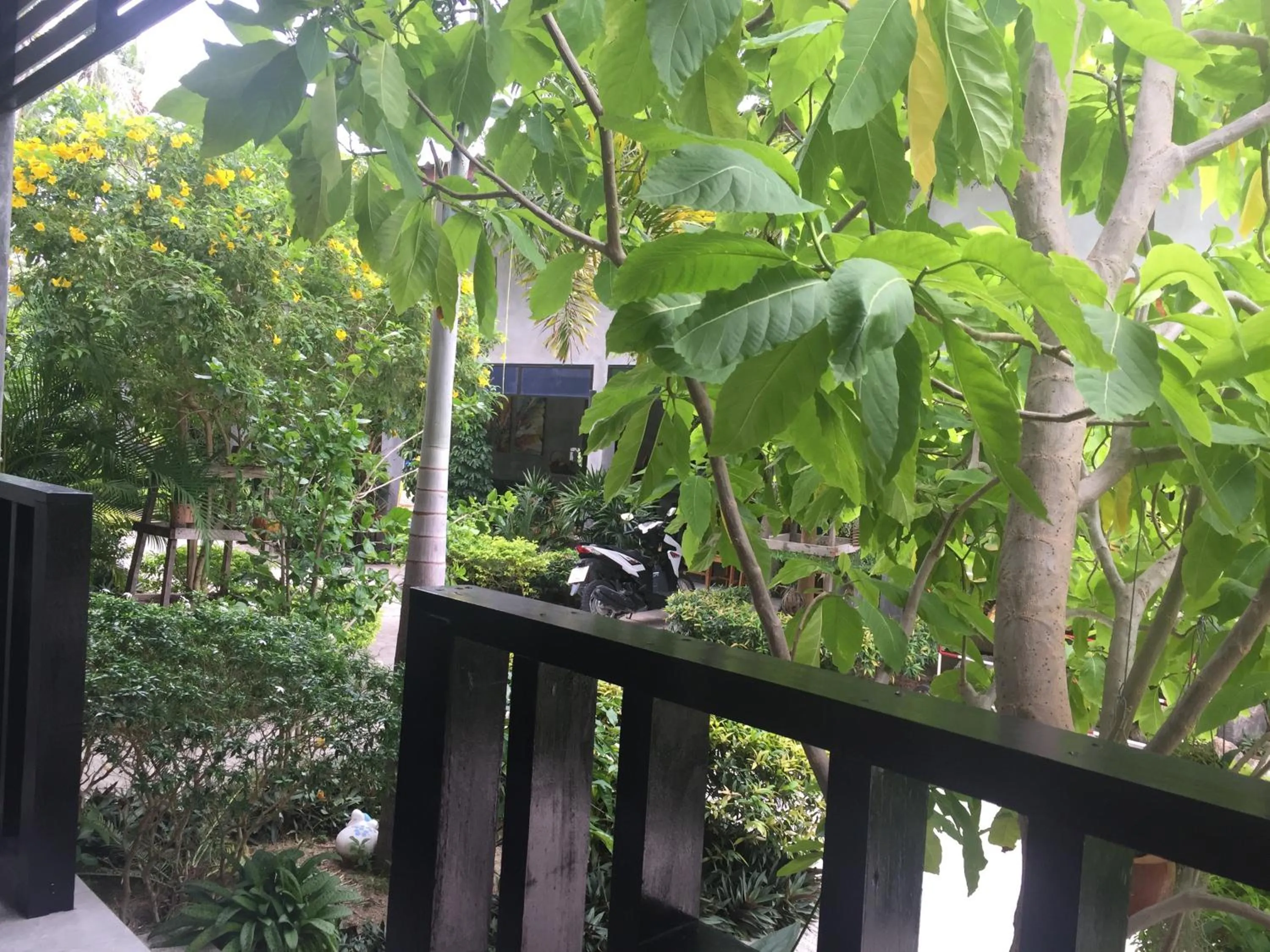 Balcony/Terrace in Baan Suan Ta Hotel