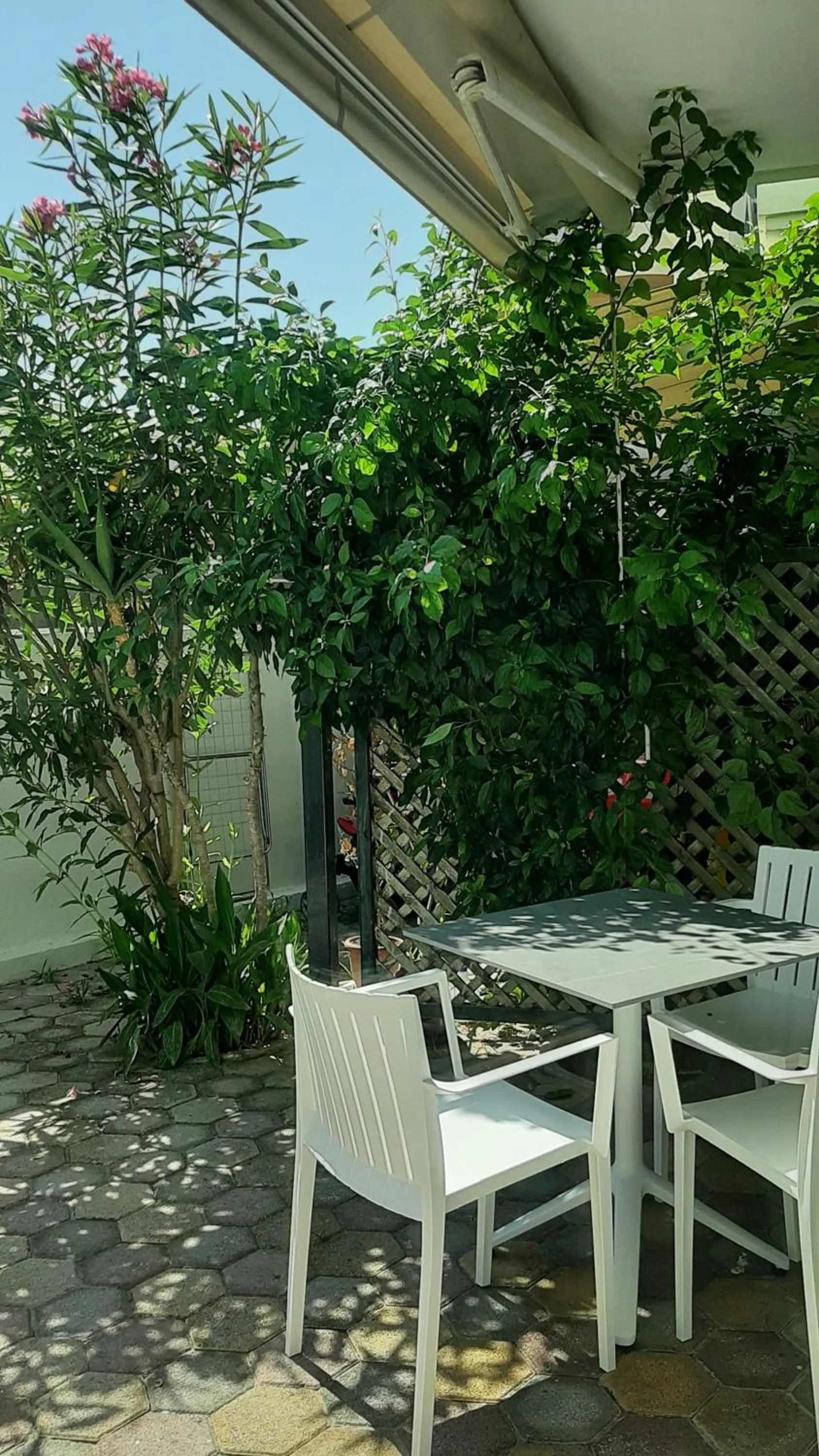 Patio in Sea Breeze