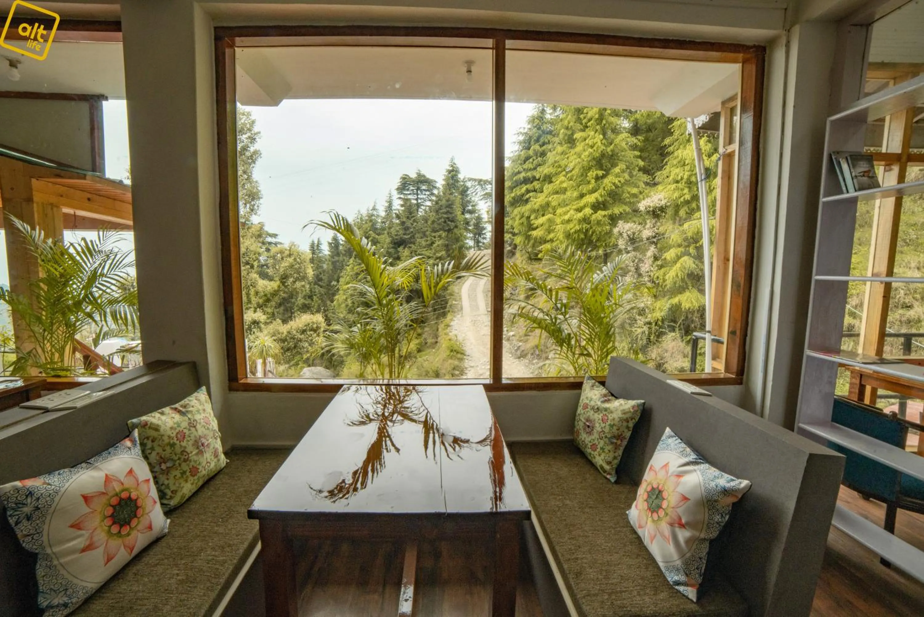 Alt Life - Dharamkot (Mcleodganj)
