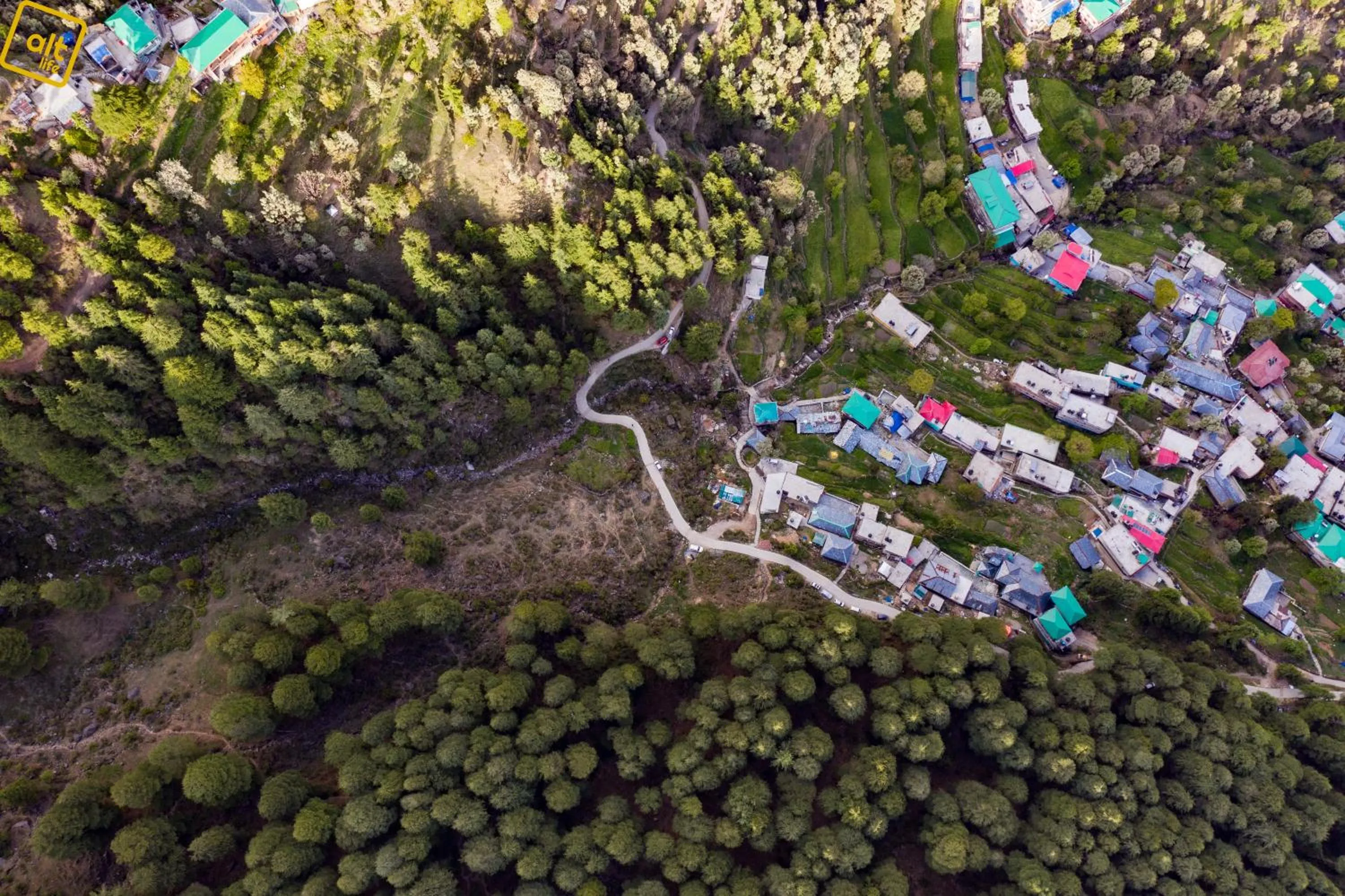 Bird's eye view in Alt Life - Dharamkot (Mcleodganj)
