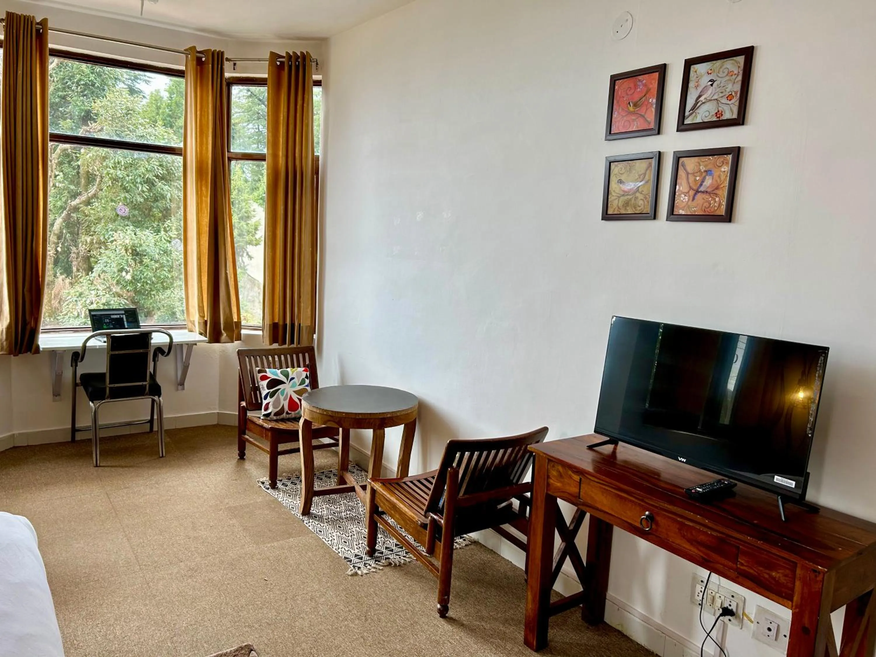 TV and multimedia in Alt Life - Dharamkot (Mcleodganj)