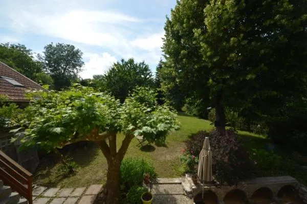 Garden in Maison Maliga J&G House