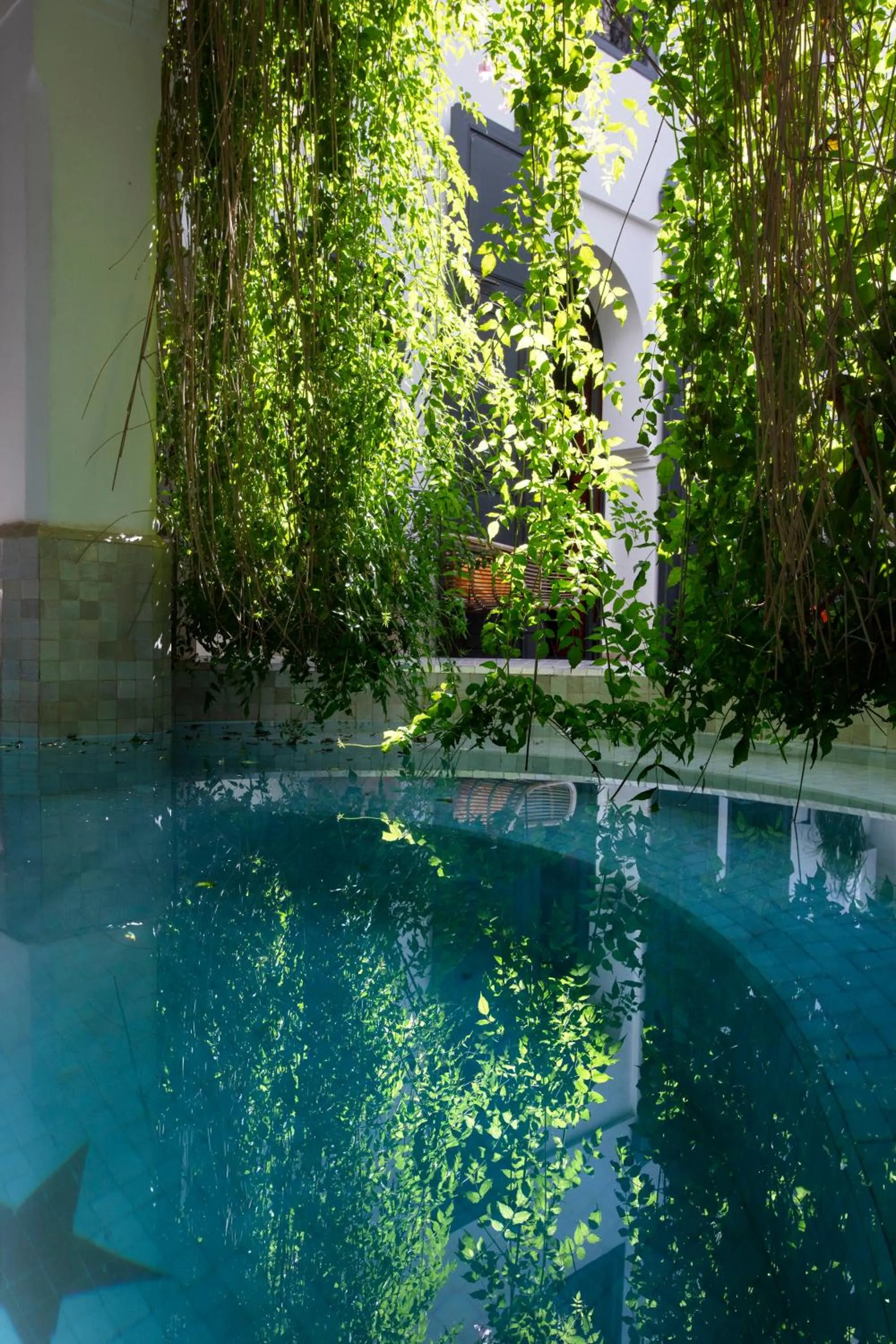 Swimming pool in Dar Titrit