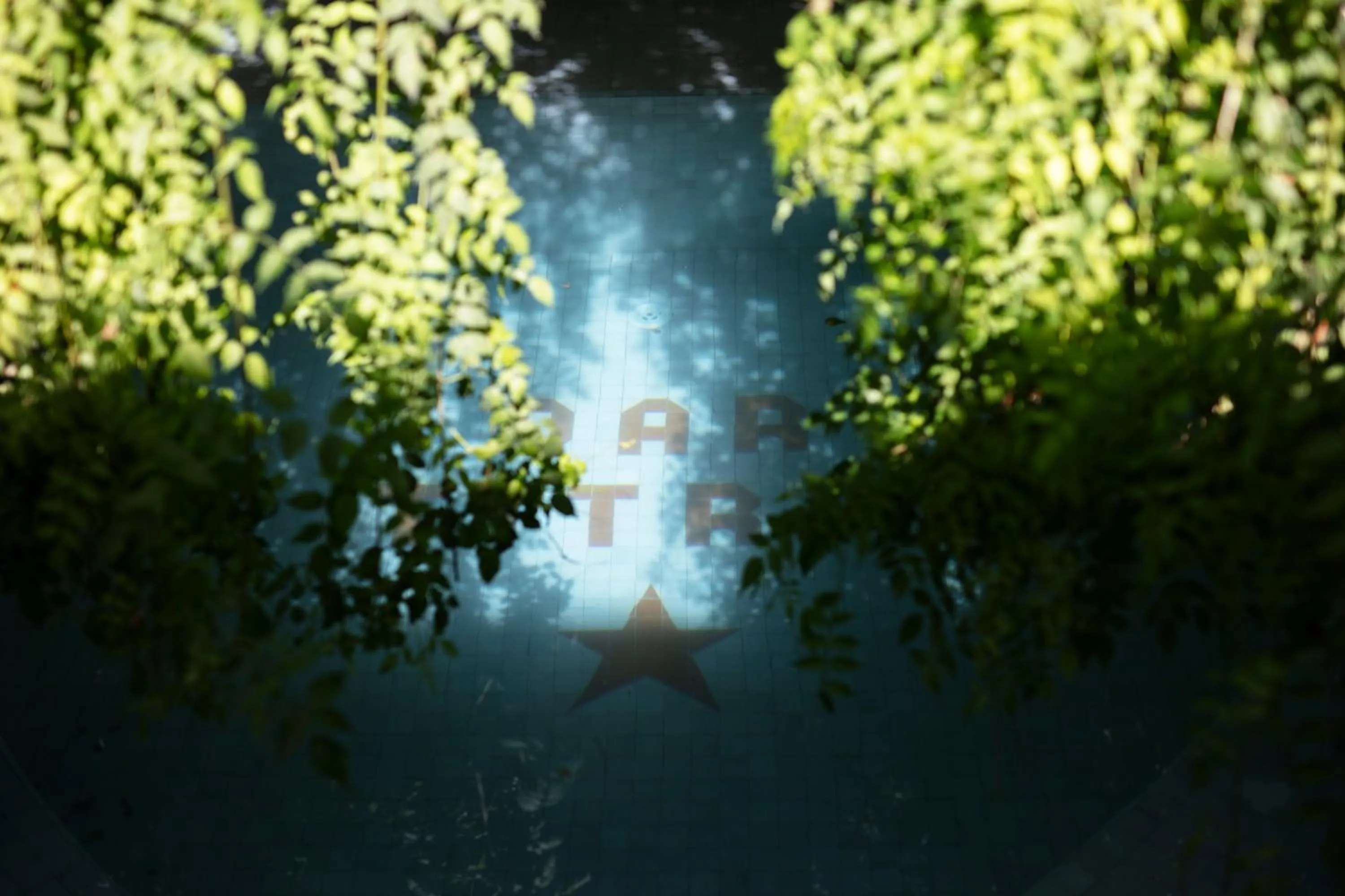 Swimming pool in Dar Titrit